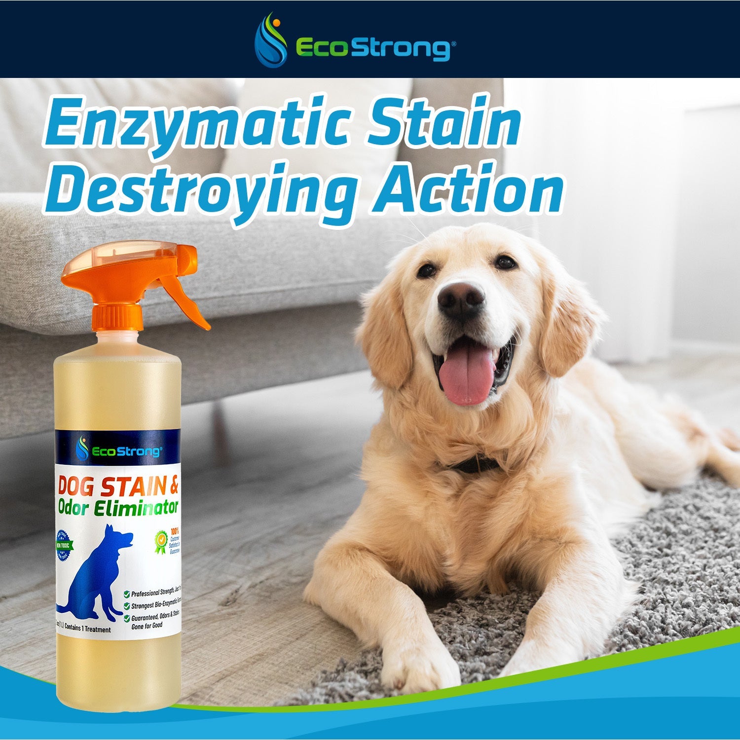 Dog Stain and Odor Eliminator