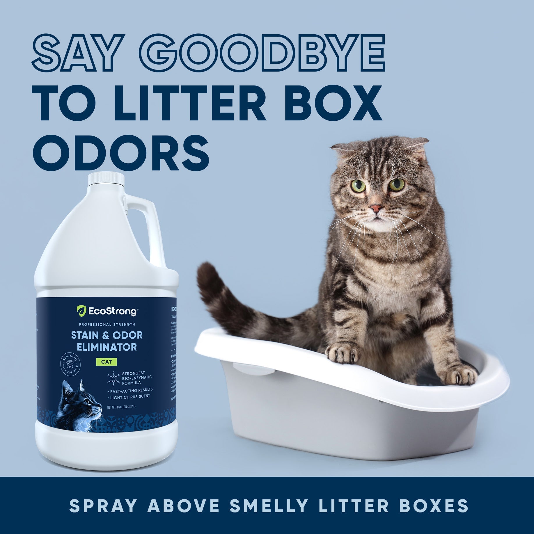 Cat Stain and Odor Eliminator