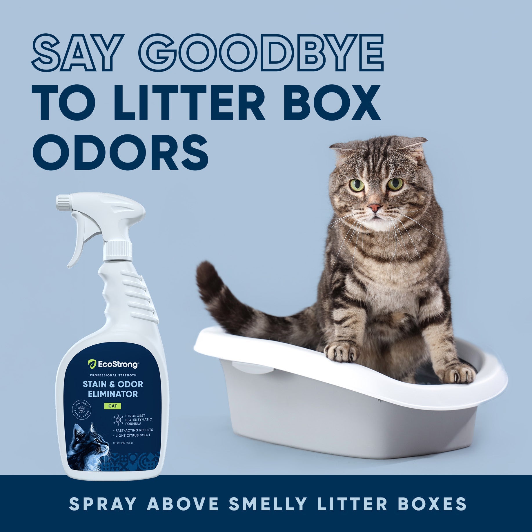 Cat Stain and Odor Eliminator