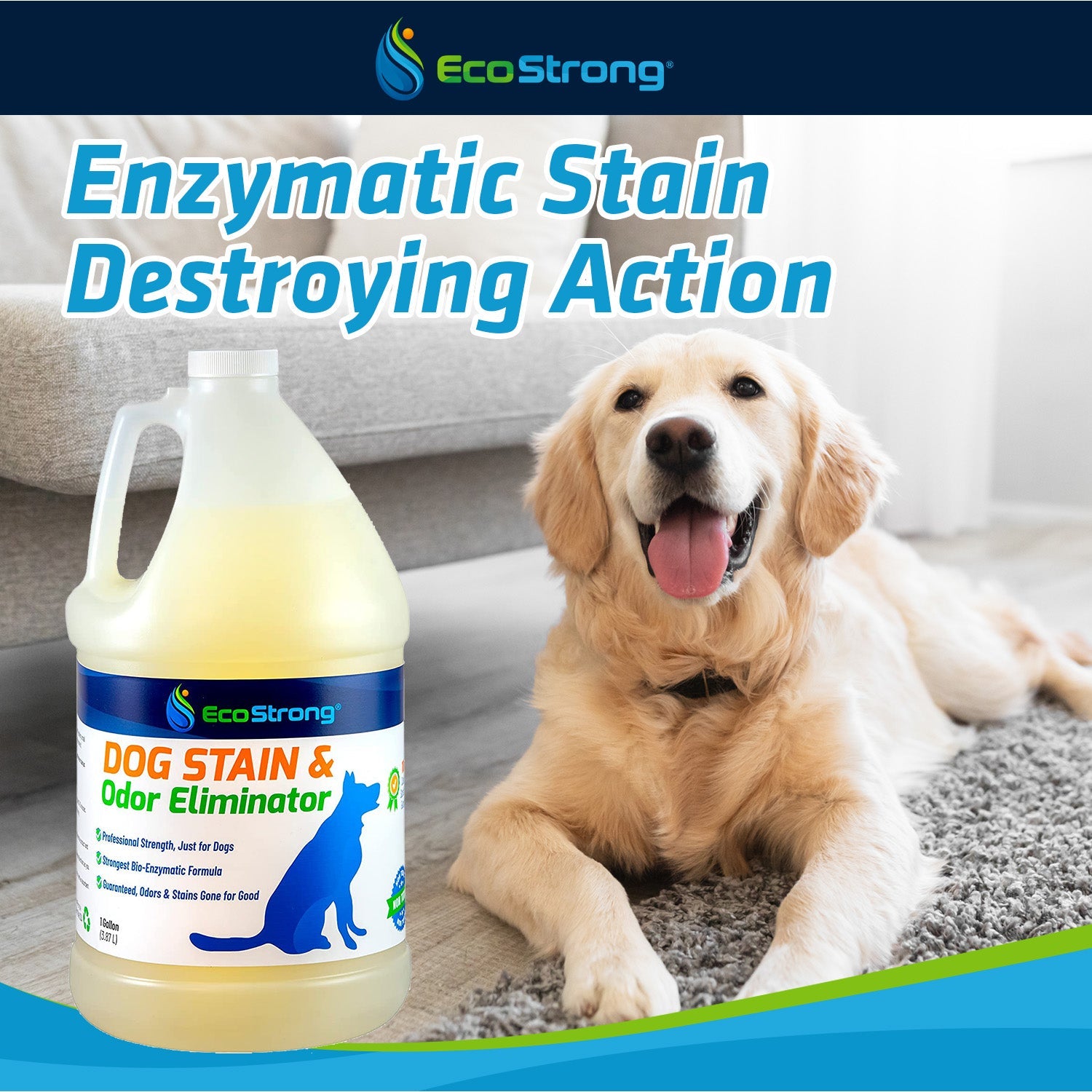 Dog Stain and Odor Eliminator