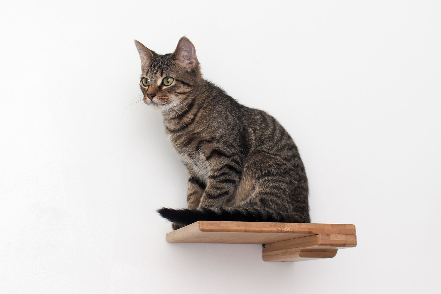 Cat Climbing Shelf - by Catastrophic Creations