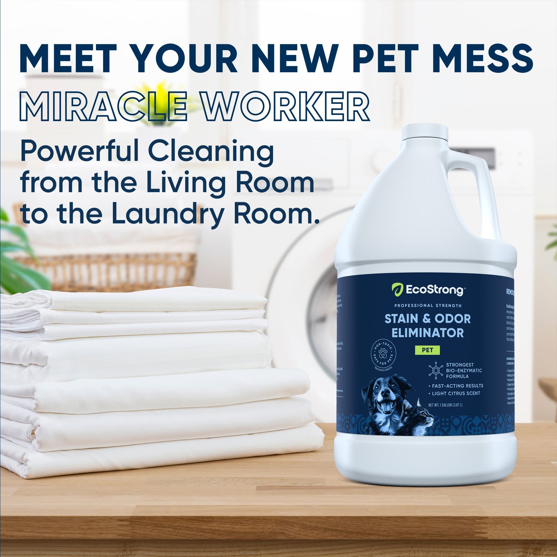 Pet Stain and Odor Eliminator