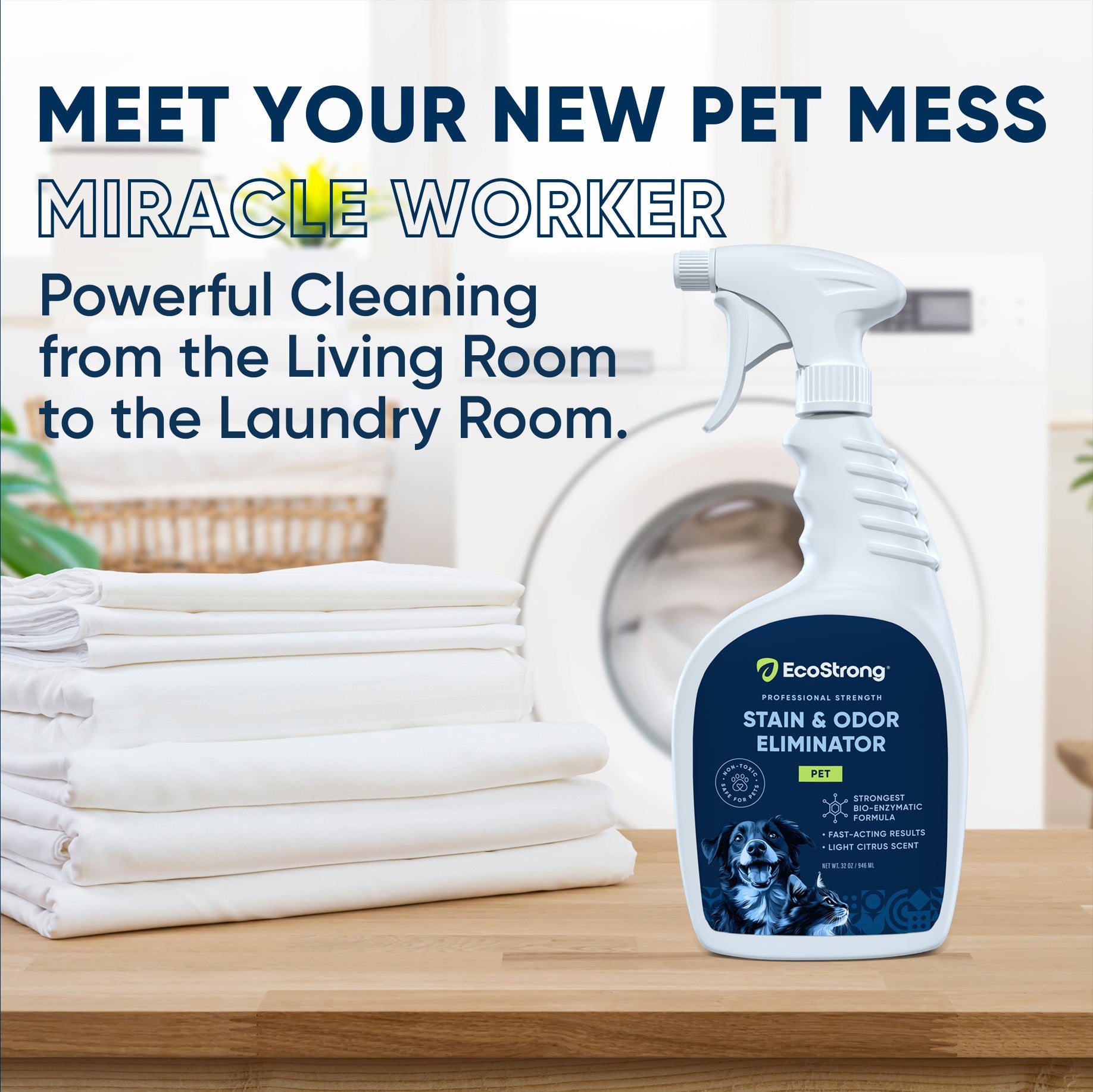 Pet Stain and Odor Eliminator