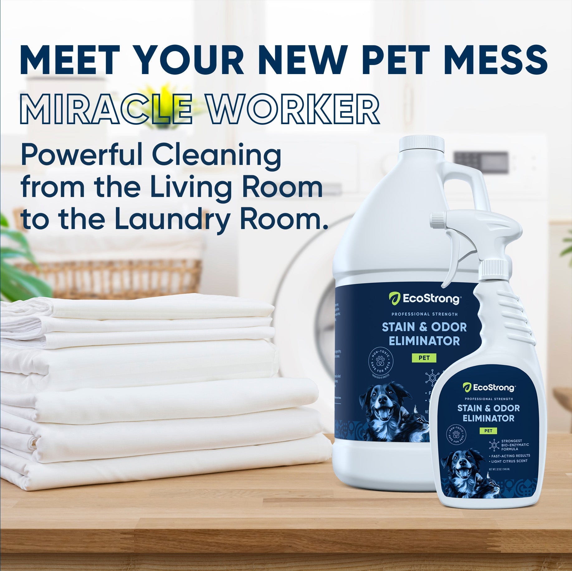 Pet Stain and Odor Eliminator