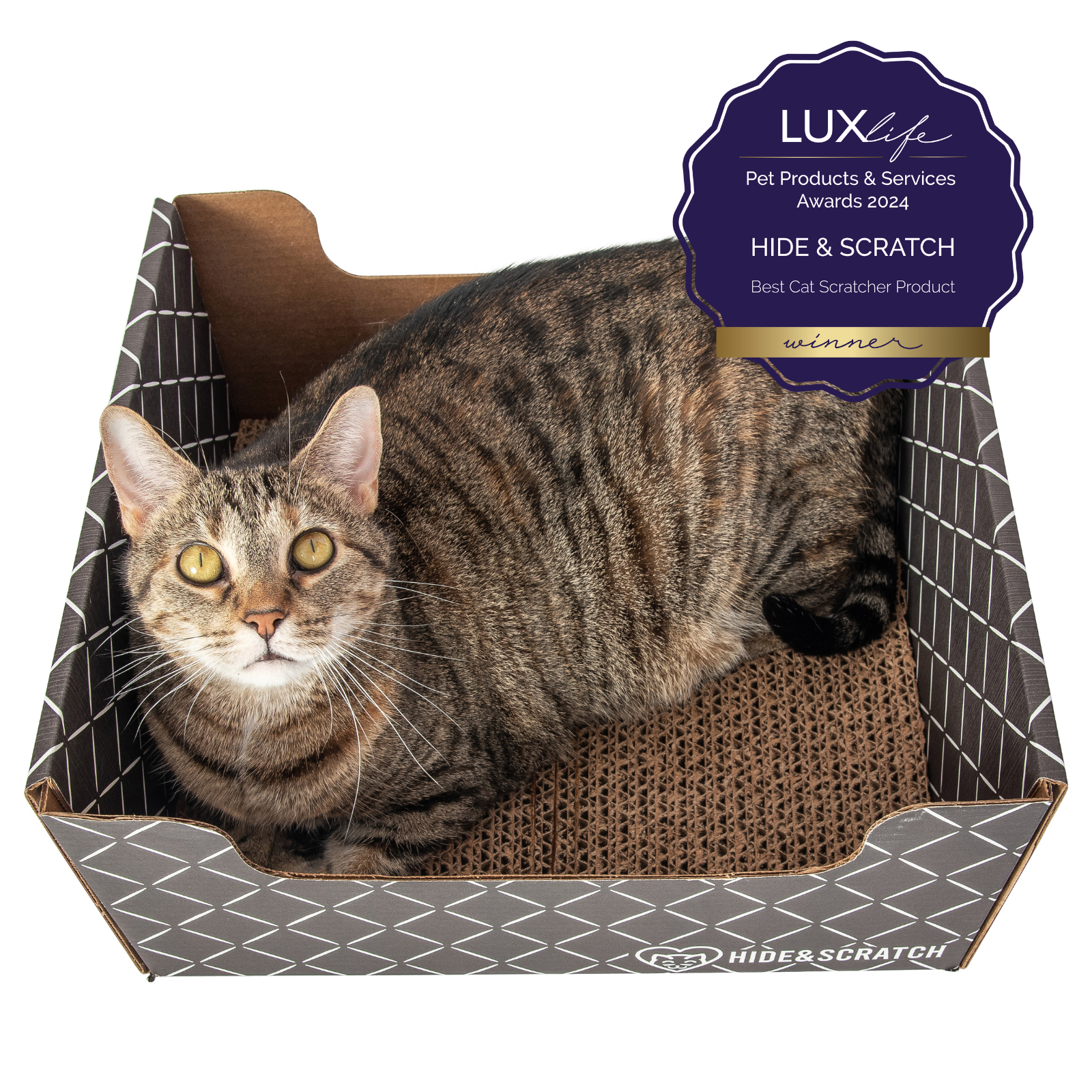 Hide & Scratch Extra-Large Cat Scratcher Box