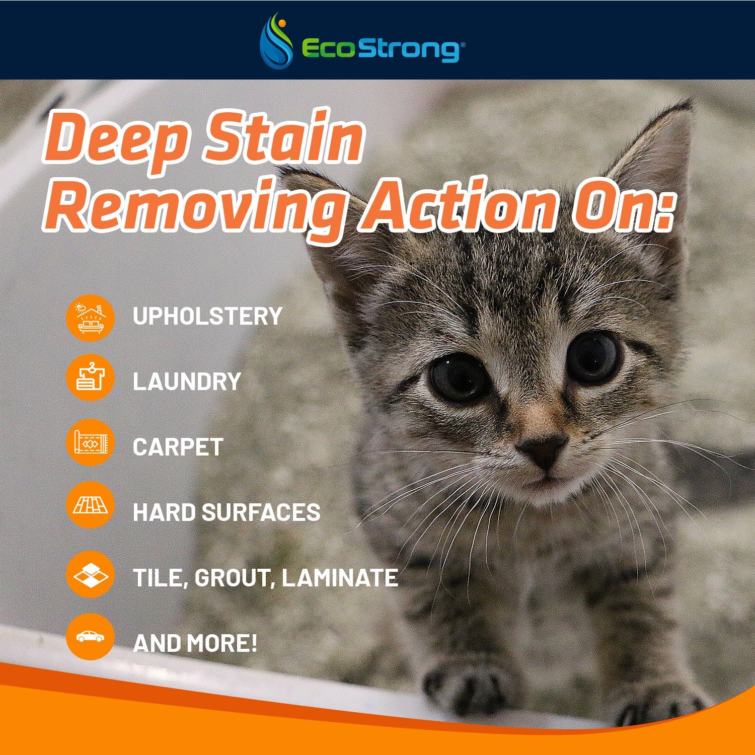 Cat Stain and Odor Eliminator