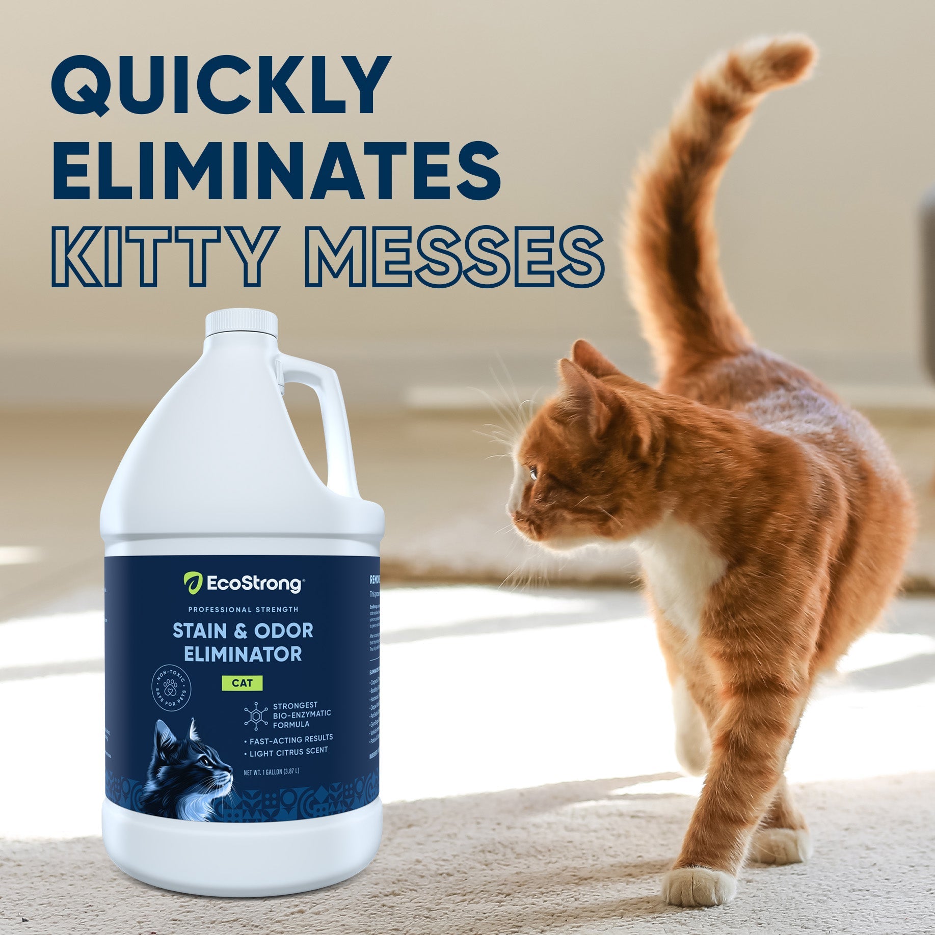 Cat Stain and Odor Eliminator