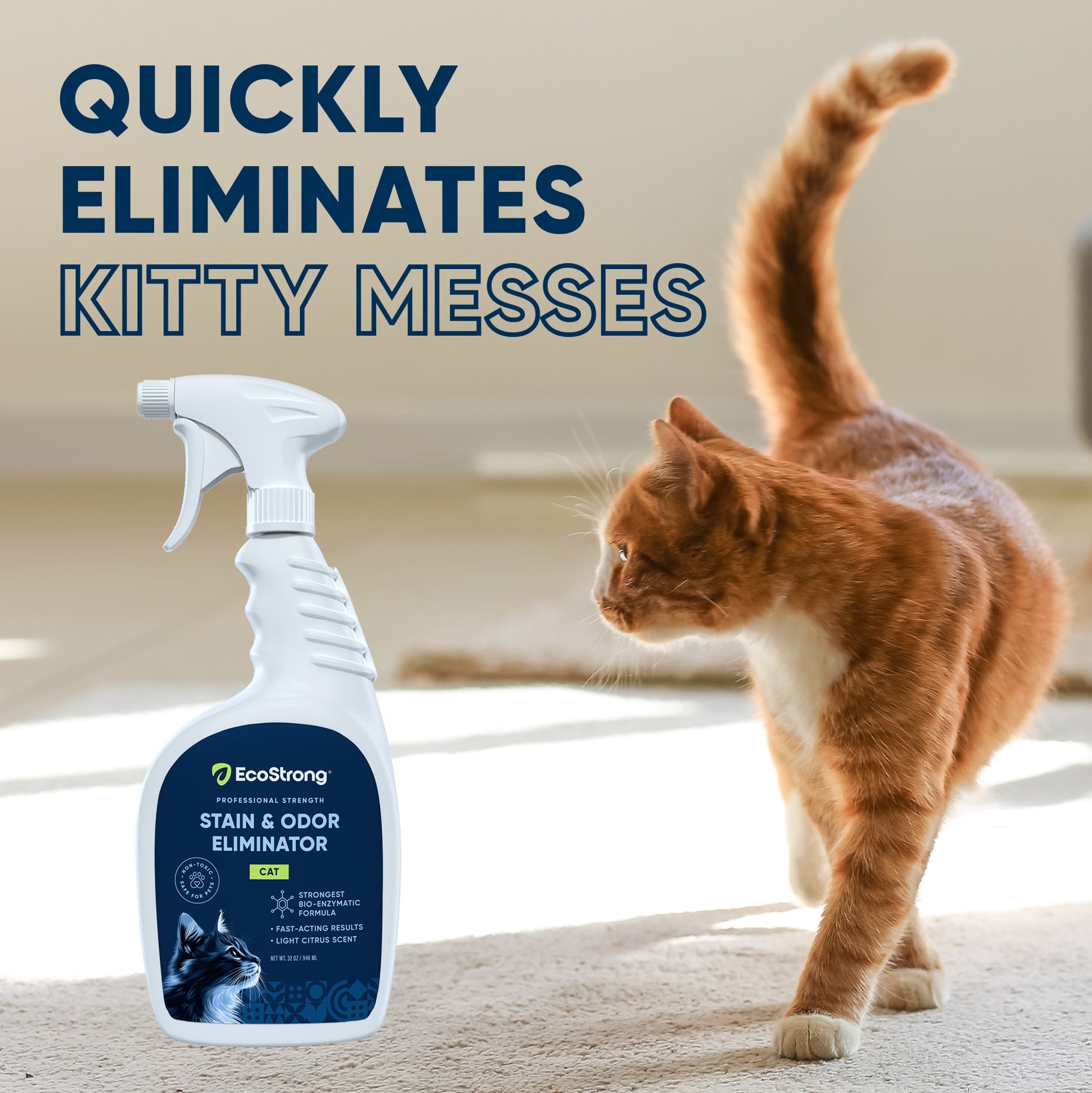 Cat Stain and Odor Eliminator