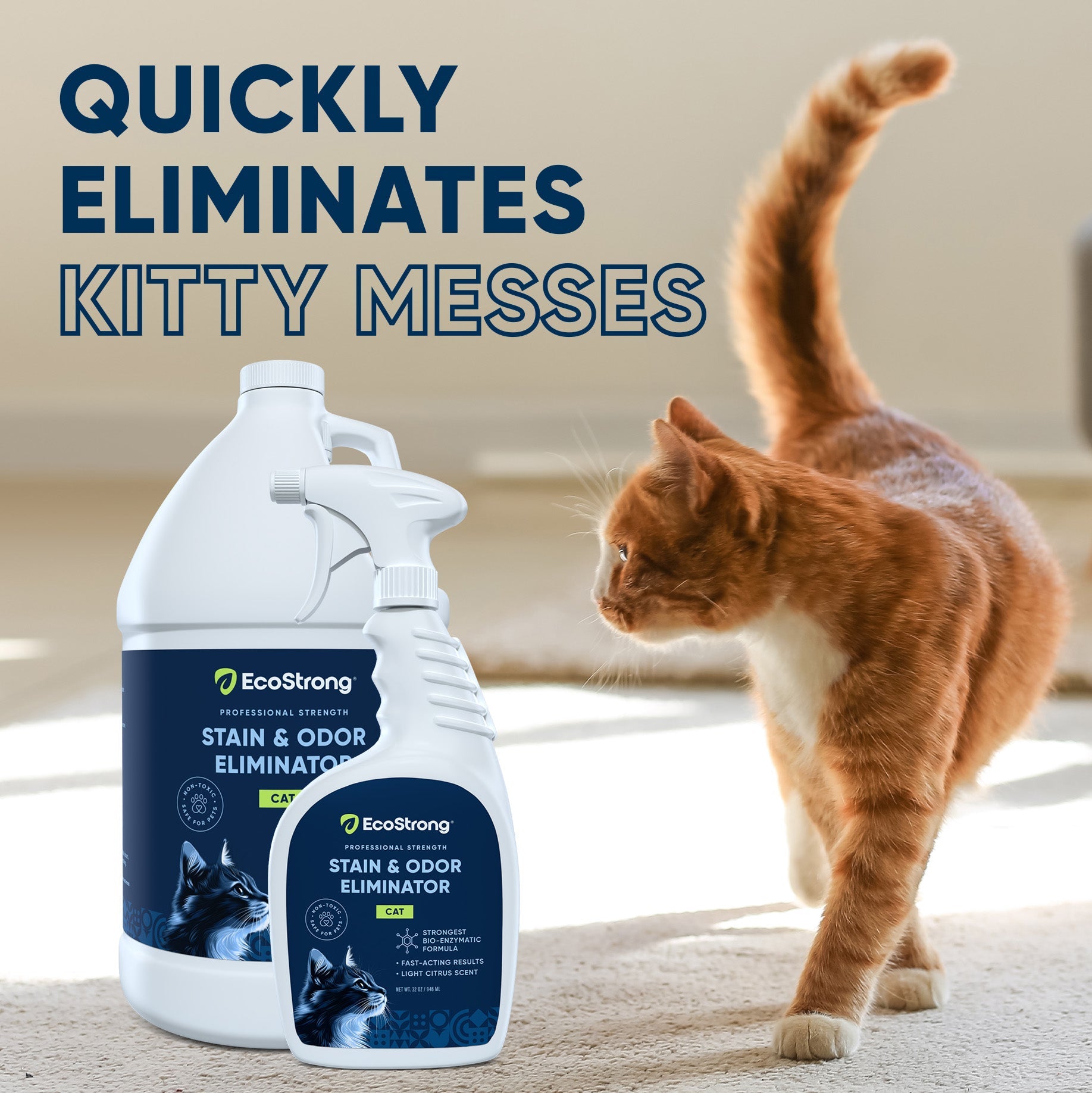 Cat Stain and Odor Eliminator