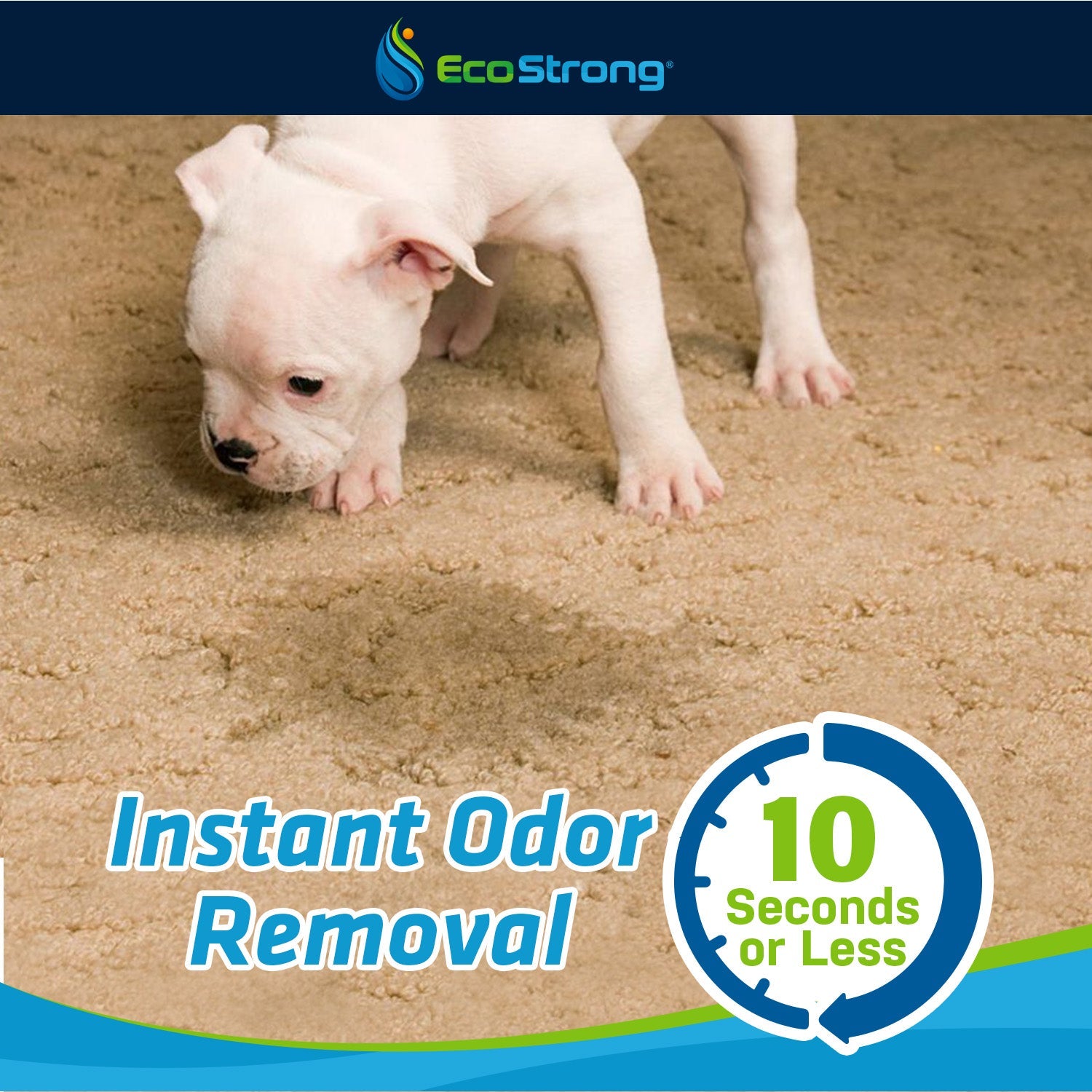 Pet Stain and Odor Eliminator