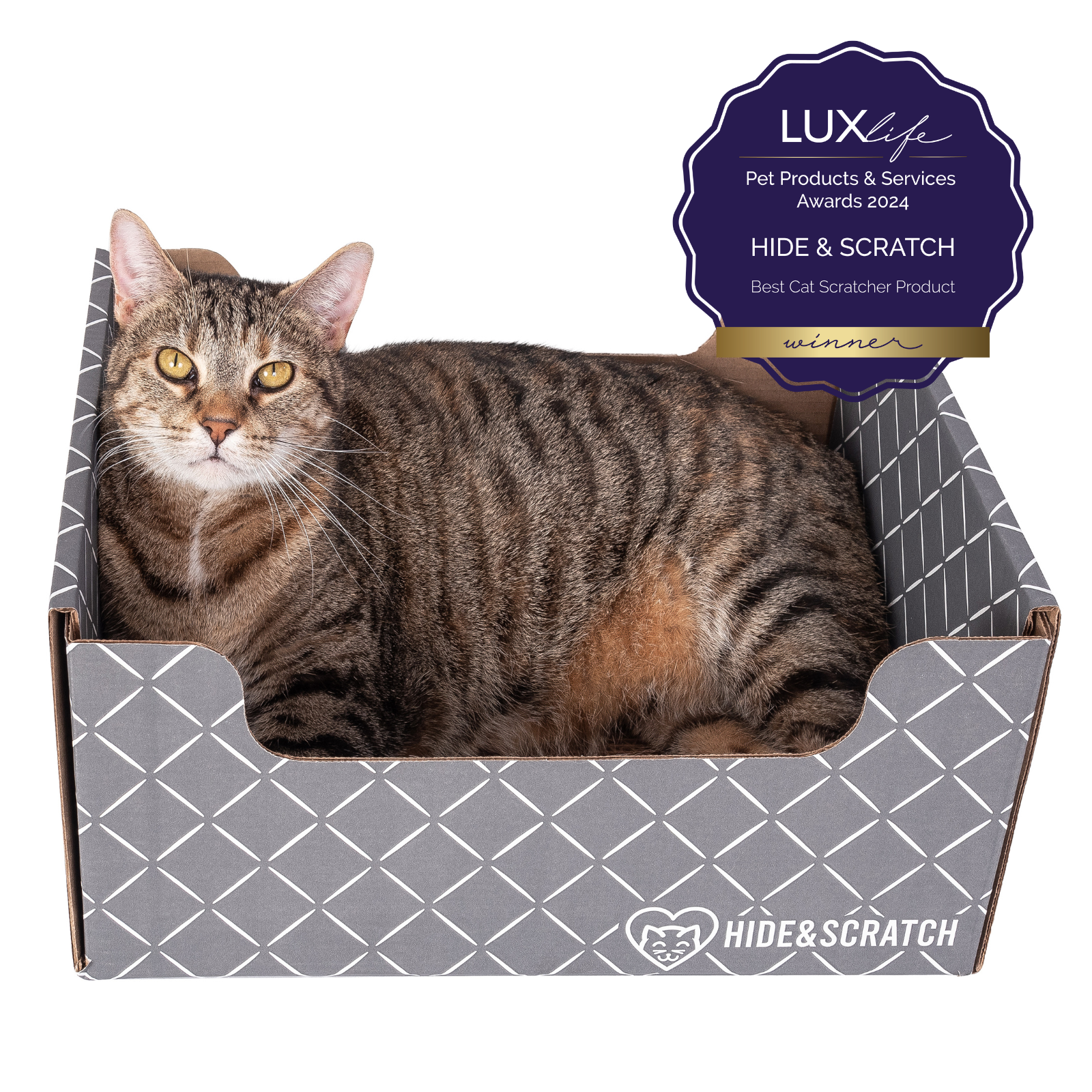 Hide & Scratch Extra-Large Cat Scratcher Box