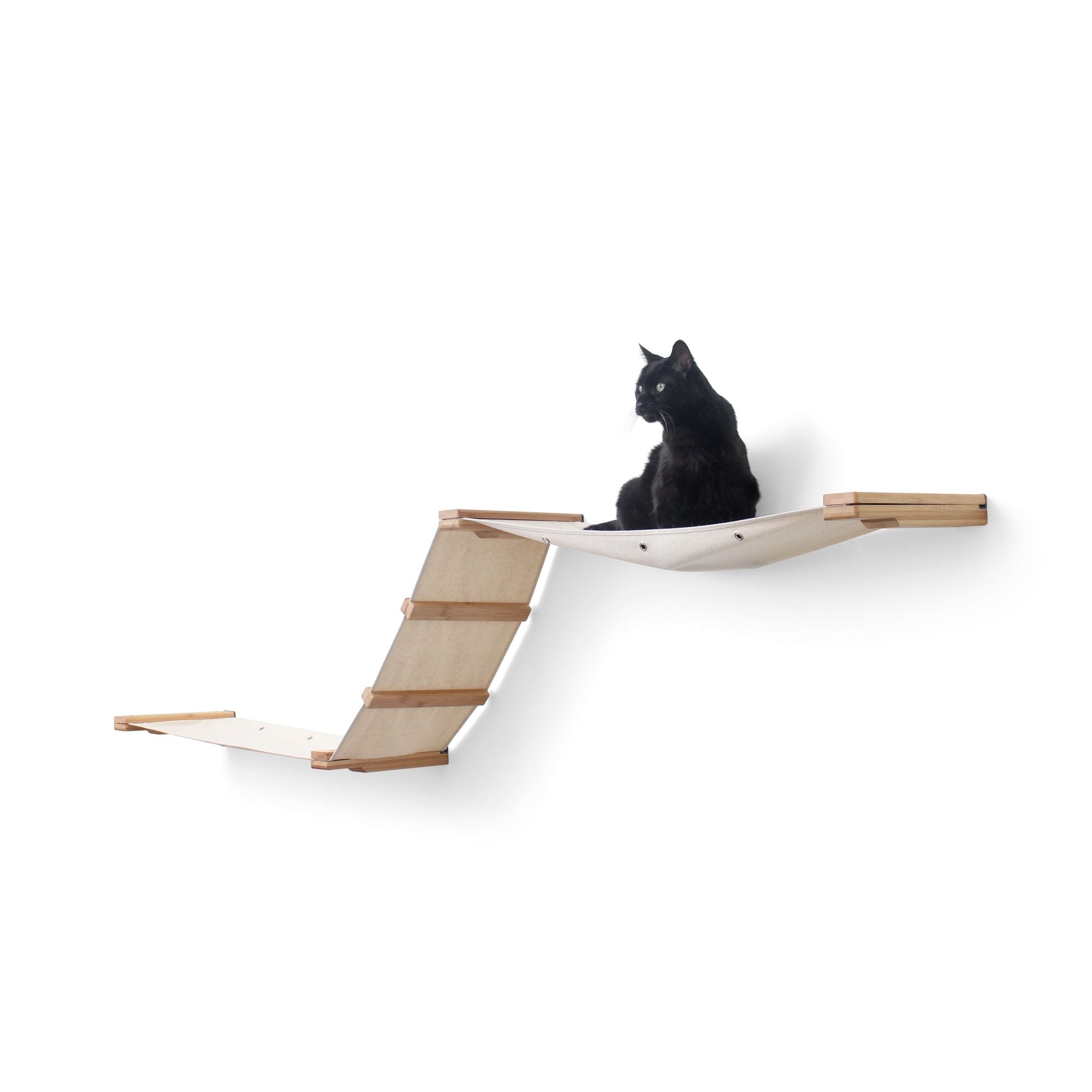 Raceway Hammock - Cat Wall Ramp - by Catastrophic Creations