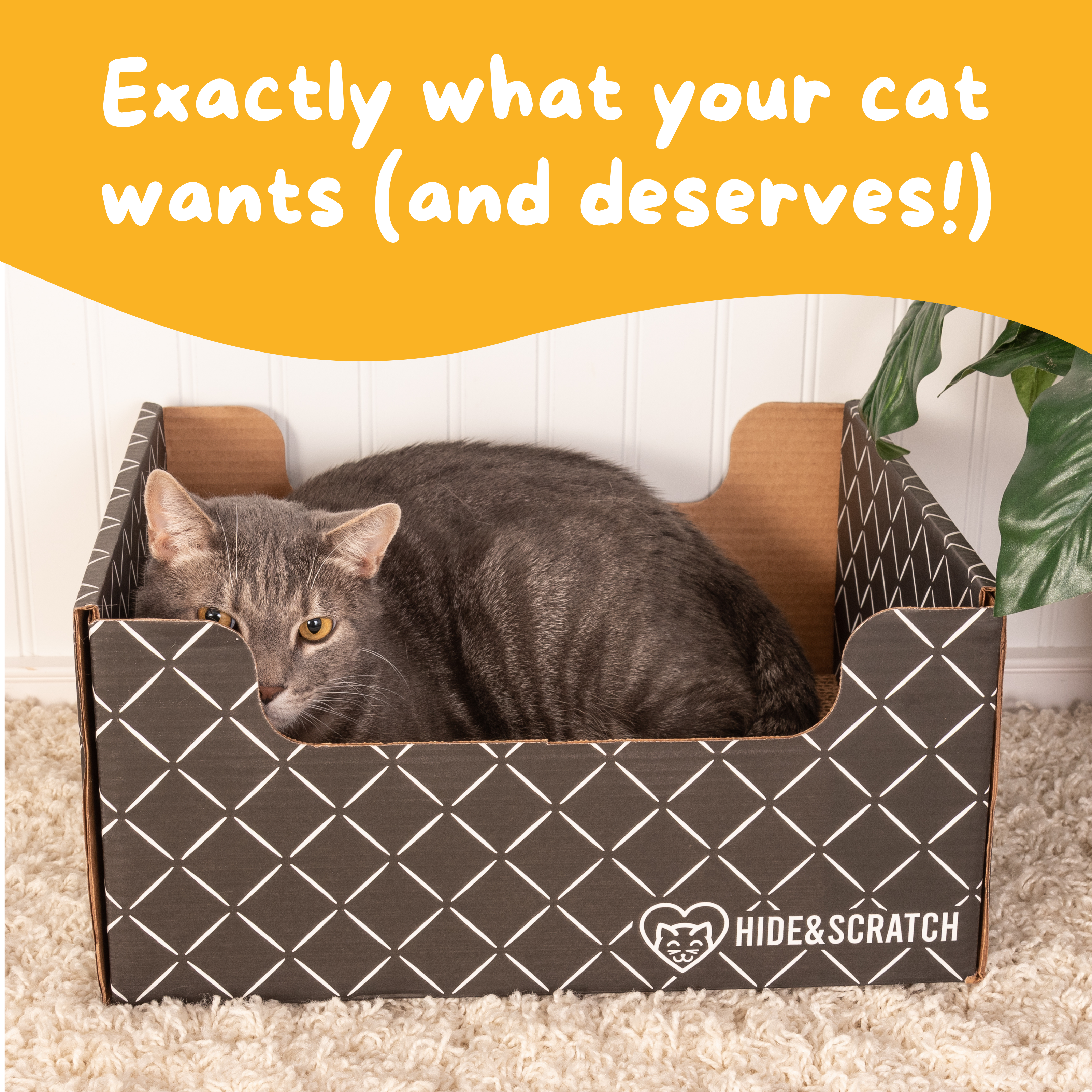 Hide & Scratch Extra-Large Cat Scratcher Box