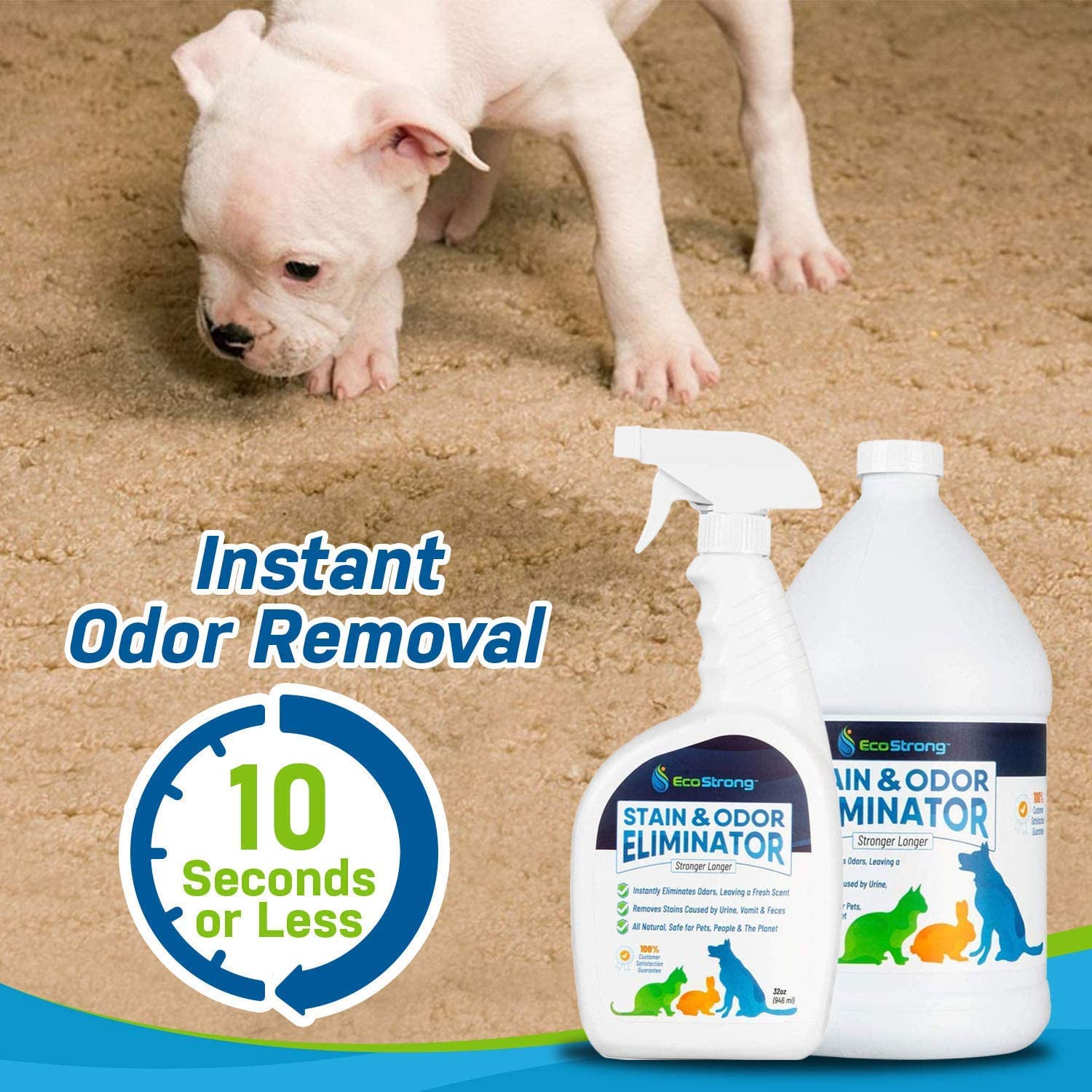 Pet Stain and Odor Eliminator