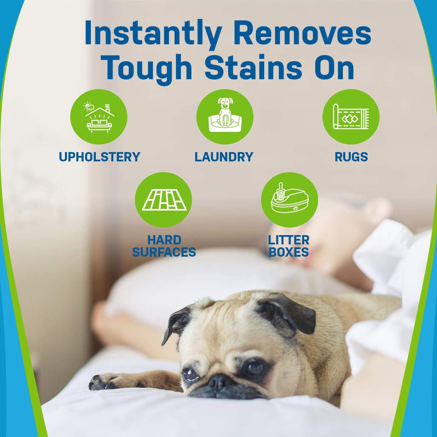 Pet Stain and Odor Eliminator