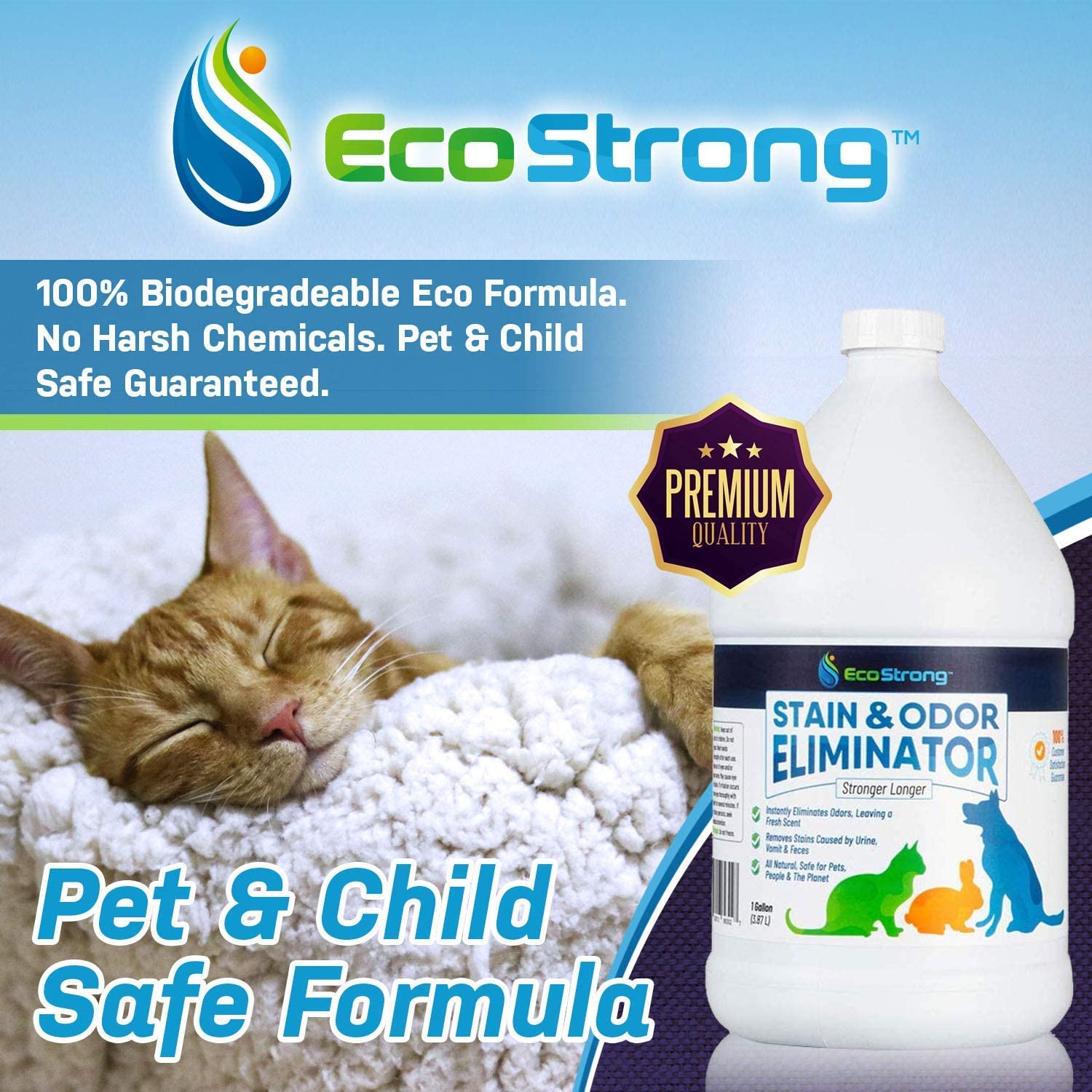 Pet Stain and Odor Eliminator