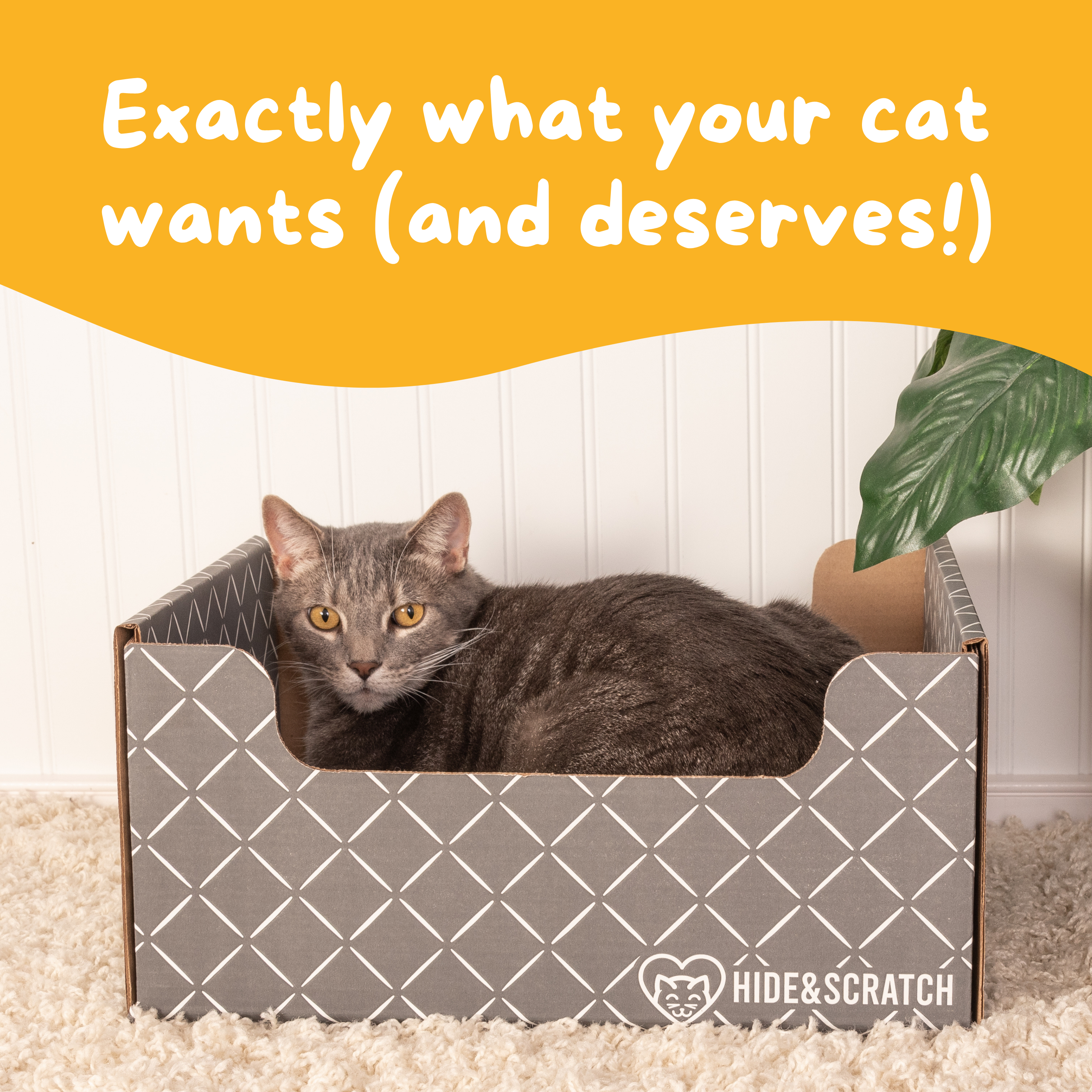 Hide & Scratch Extra-Large Cat Scratcher Box