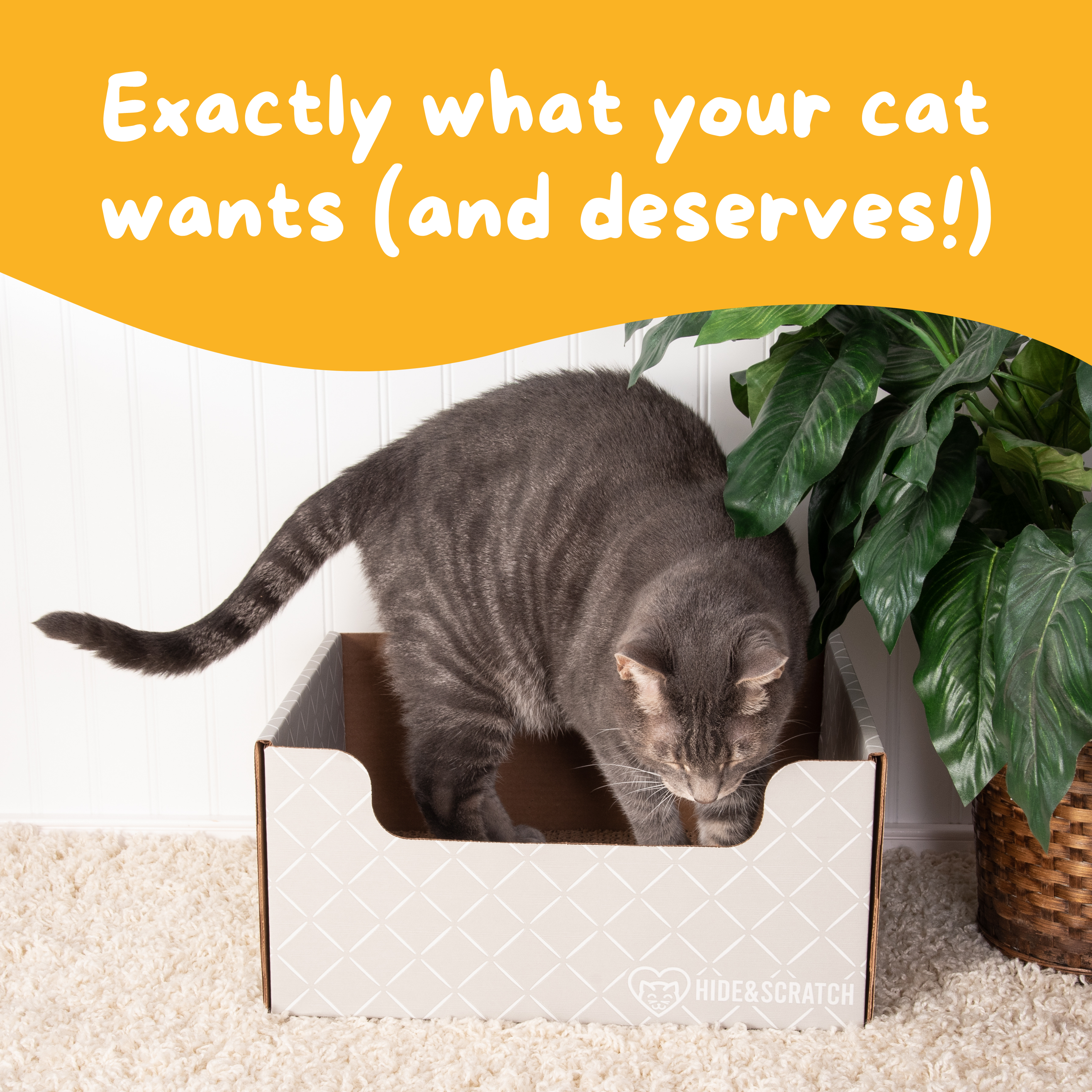 Hide & Scratch Extra-Large Cat Scratcher Box