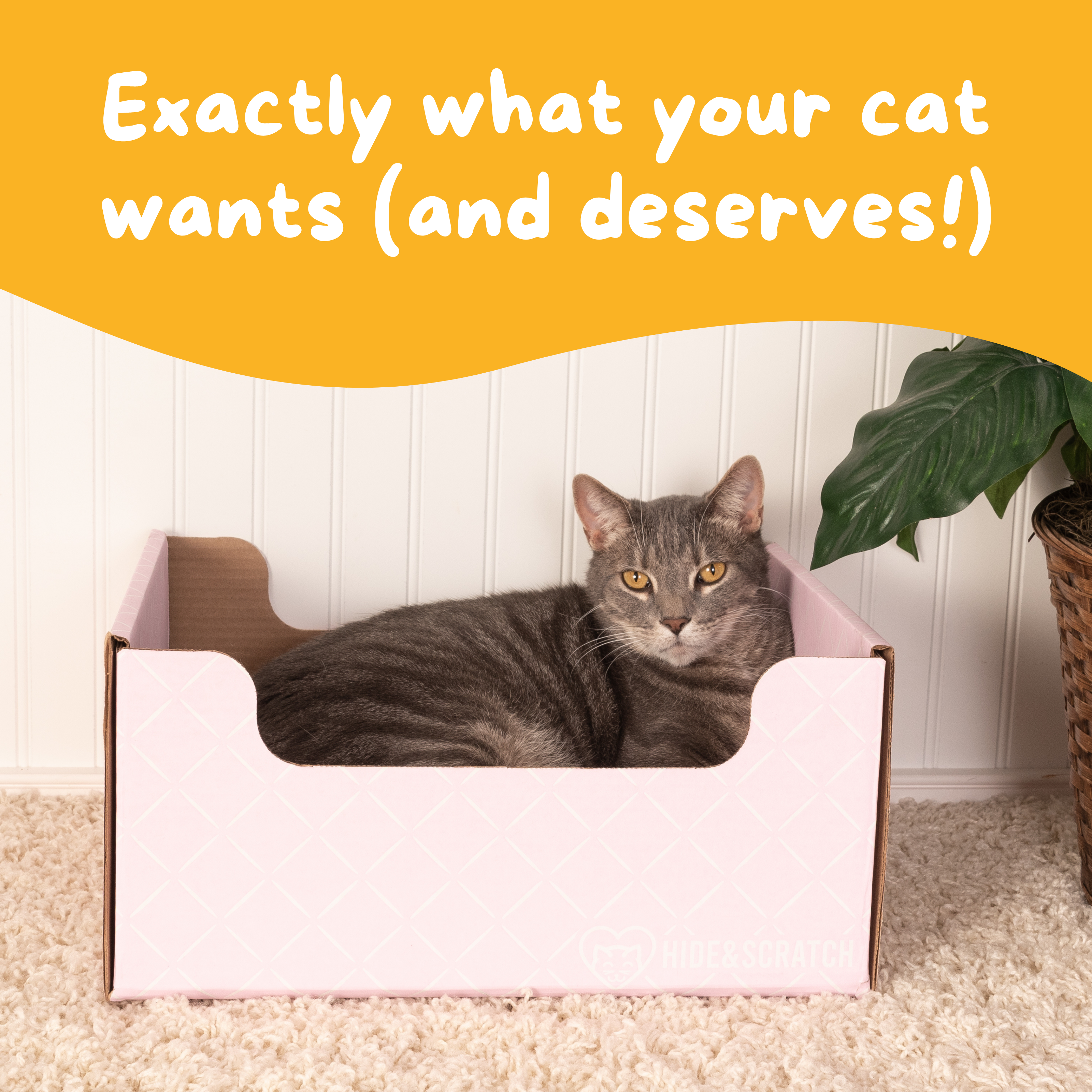 Hide & Scratch Extra-Large Cat Scratcher Box