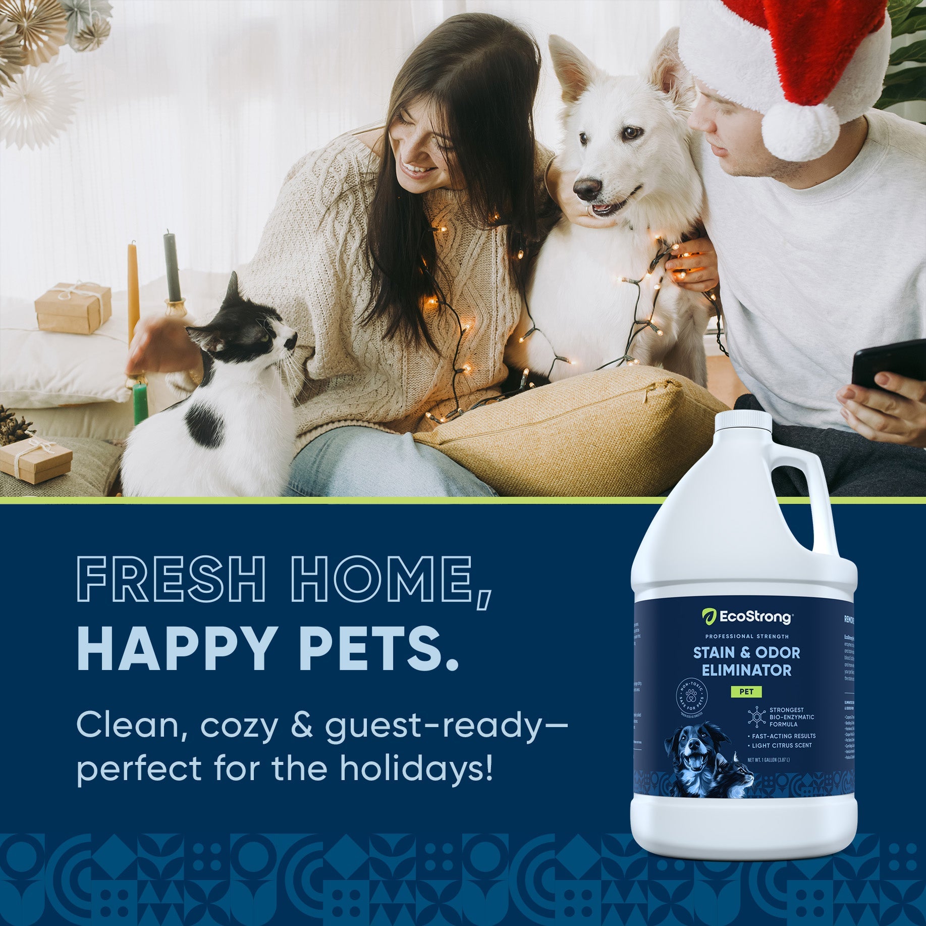 Pet Stain and Odor Eliminator