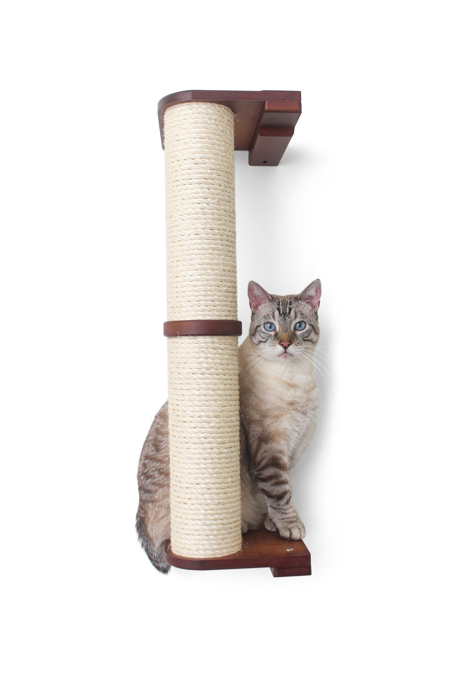 Cat Scratching Pole (Wall-Mounted) - by Catastrophic Creations