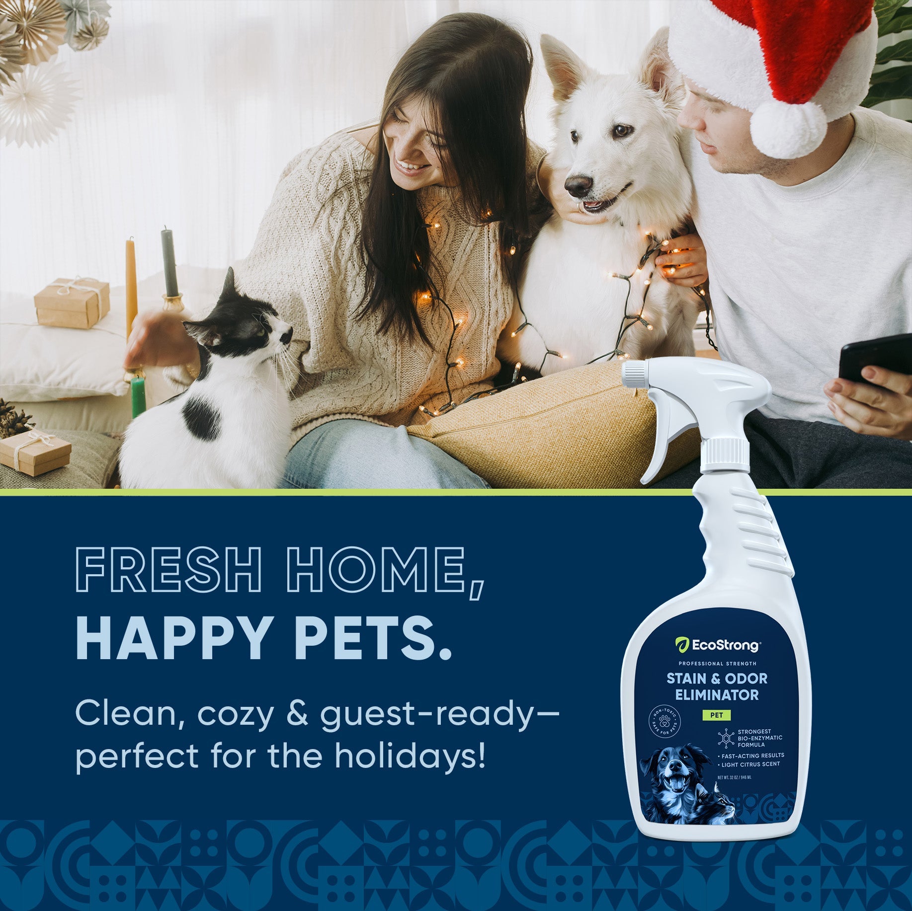 Pet Stain and Odor Eliminator