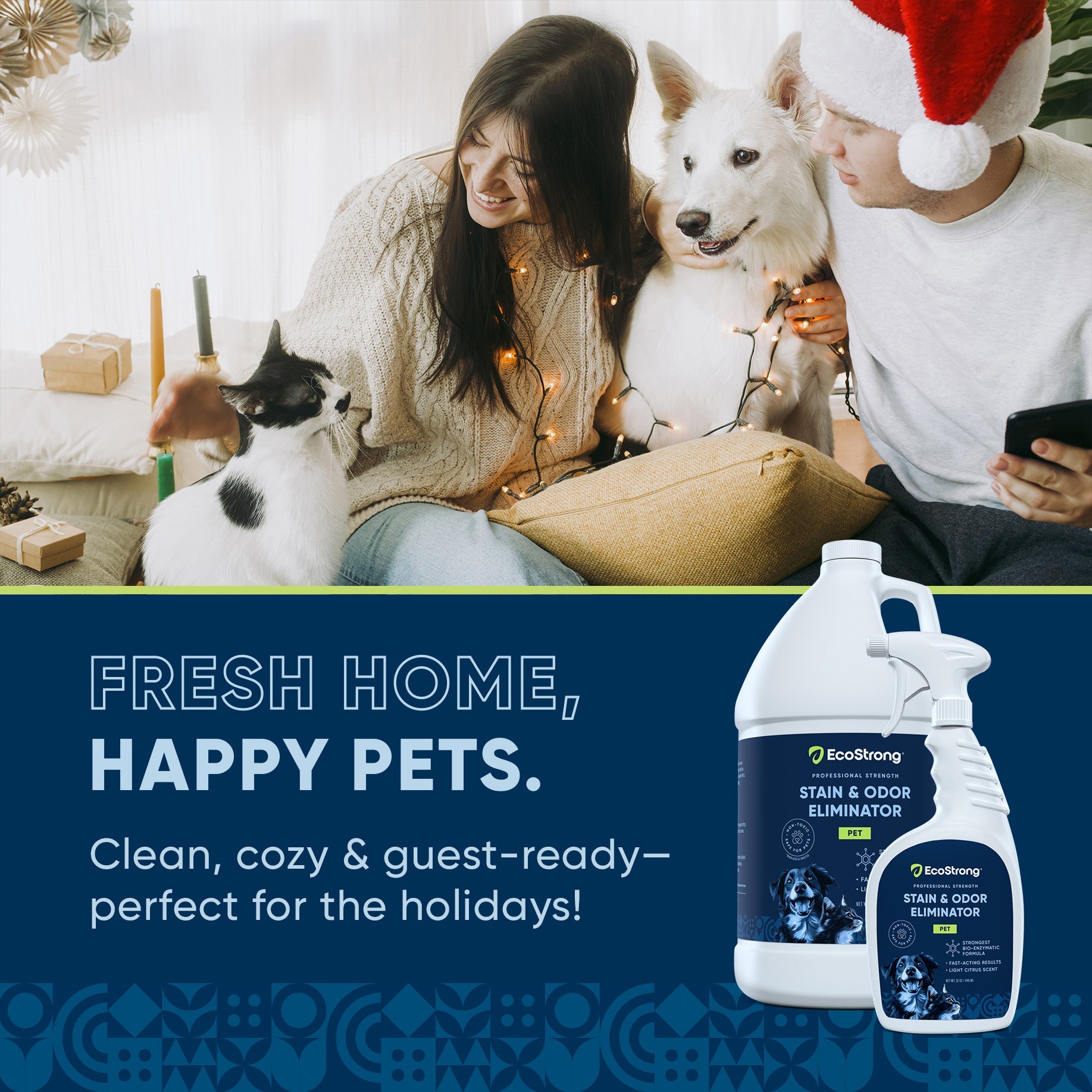 Pet Stain and Odor Eliminator