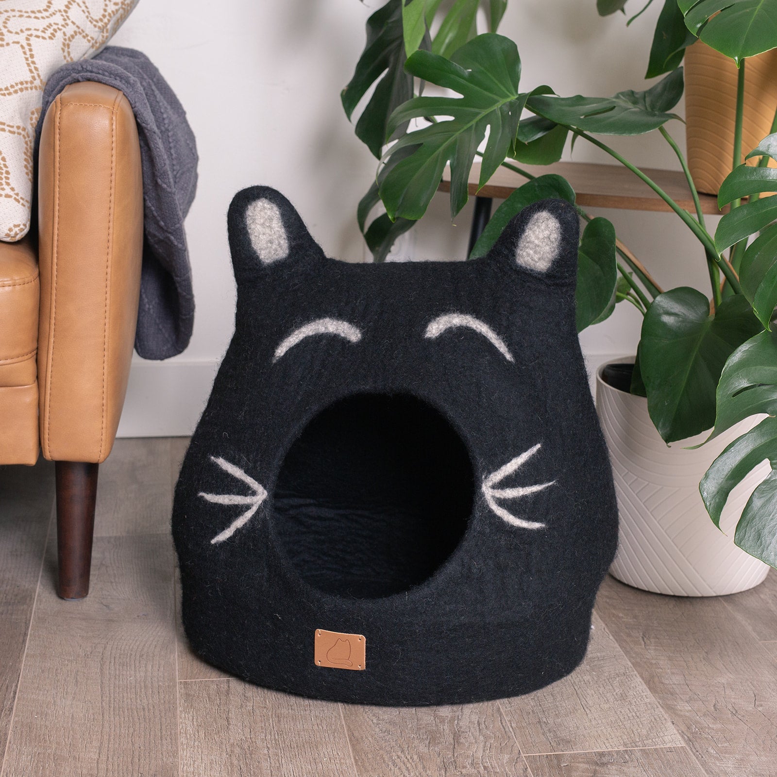 Boy Cat Design | Ear Style Cave