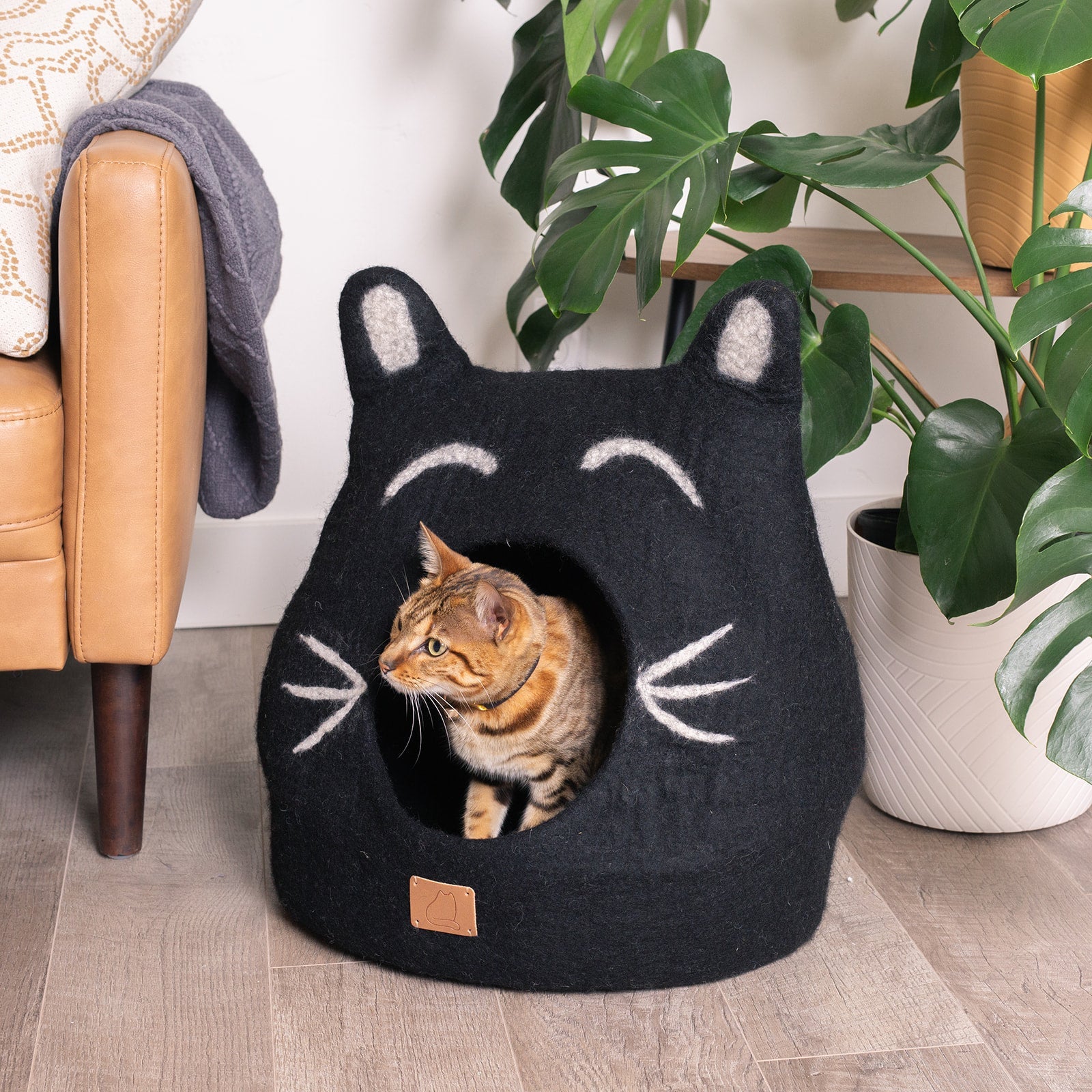 Boy Cat Design | Ear Style Cave