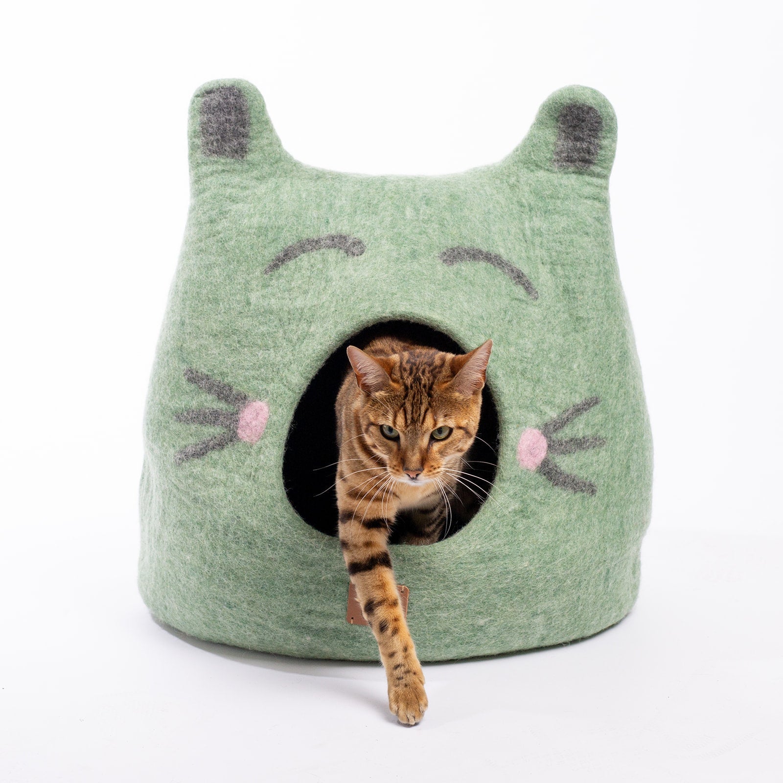 Cat Face Design | Ear Style Cave