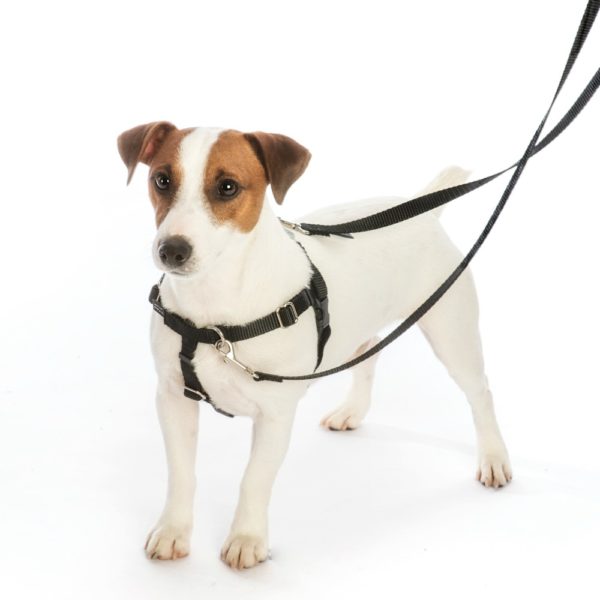 Daisy Dot Freedom No-Pull Dog Harness – EarthStyle