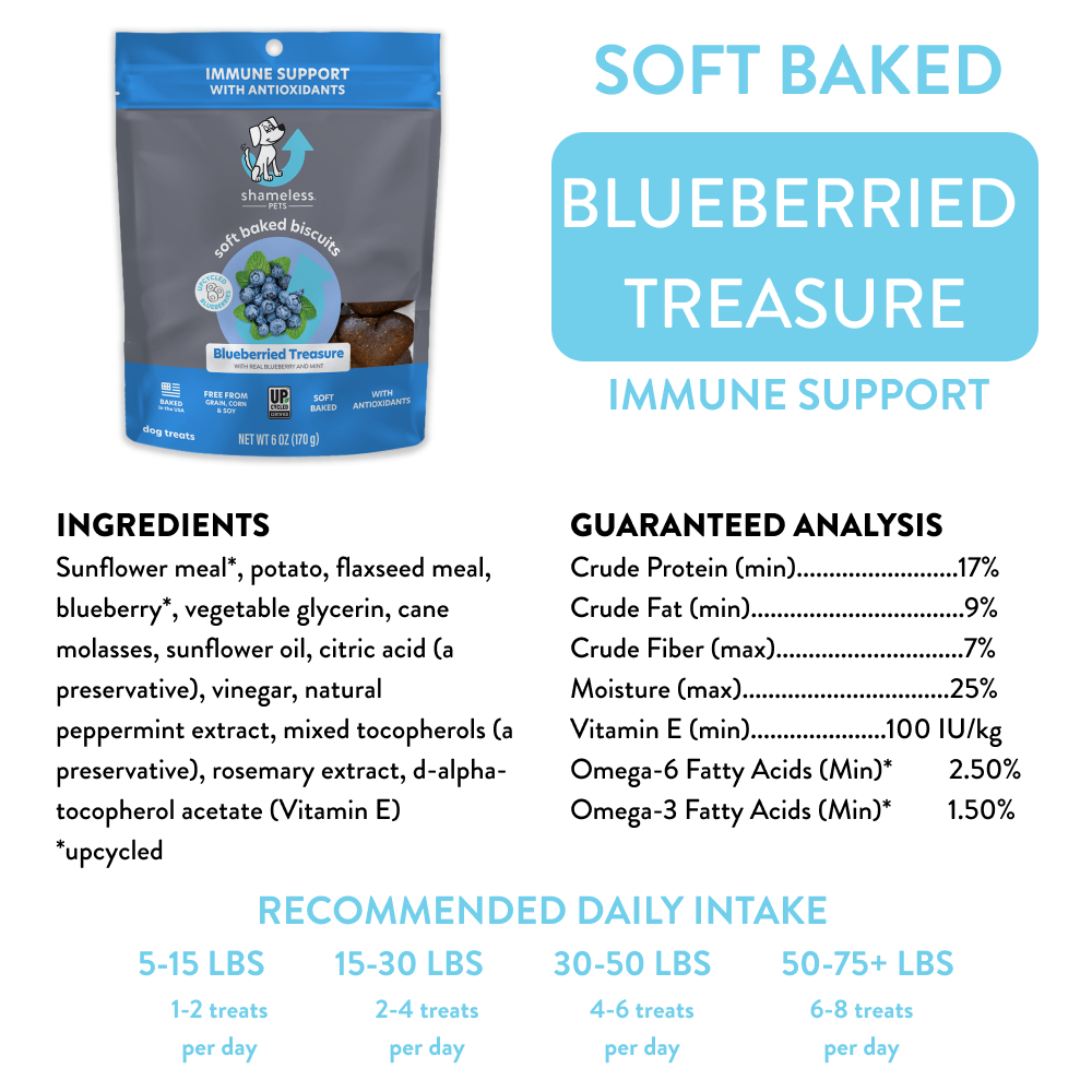 Blueberried Treasure Soft Baked