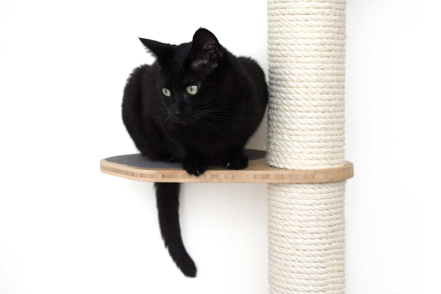 The Crow's Nest: High, Tall Cat Tree/Hammock - by Catastrophic Creations