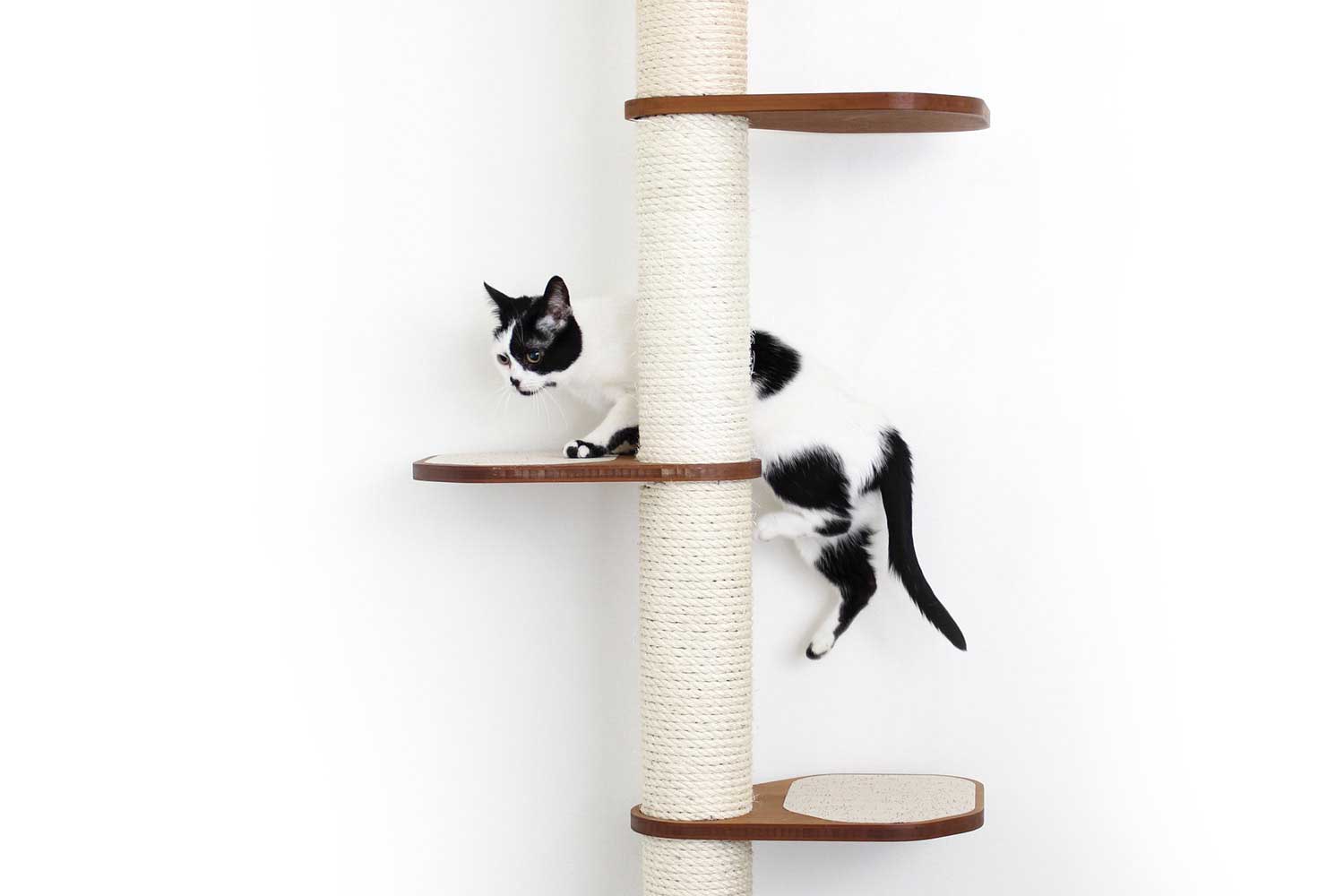 The Crow's Nest: High, Tall Cat Tree/Hammock - by Catastrophic Creations