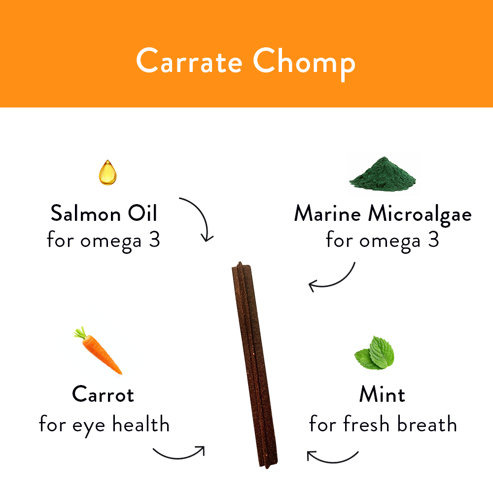 Carrate Chomp Dental Sticks