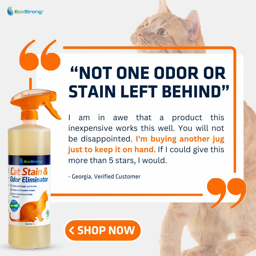 Cat Stain and Odor Eliminator