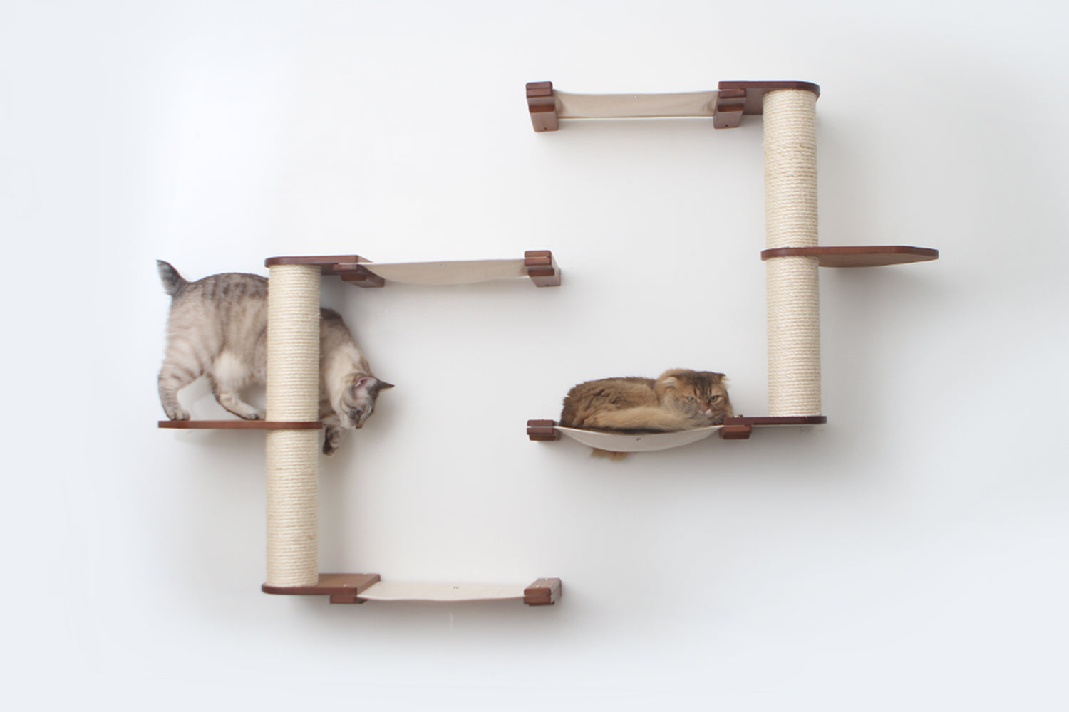 The Catacombs Cat Condo: Cat Scratcher Lounge - by Catastrophic Creations