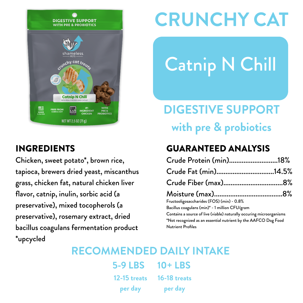 Catnip N Chill 2-pack