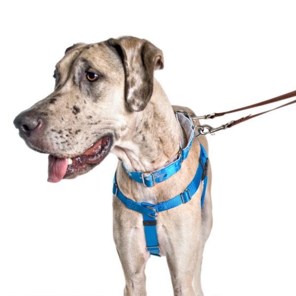 Turquoise Freedom No-Pull Dog Harness