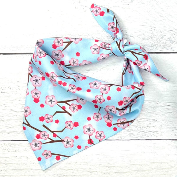 **BUNDLE!** Cherry Blossoms Blue Freedom No-Pull Harness & More!