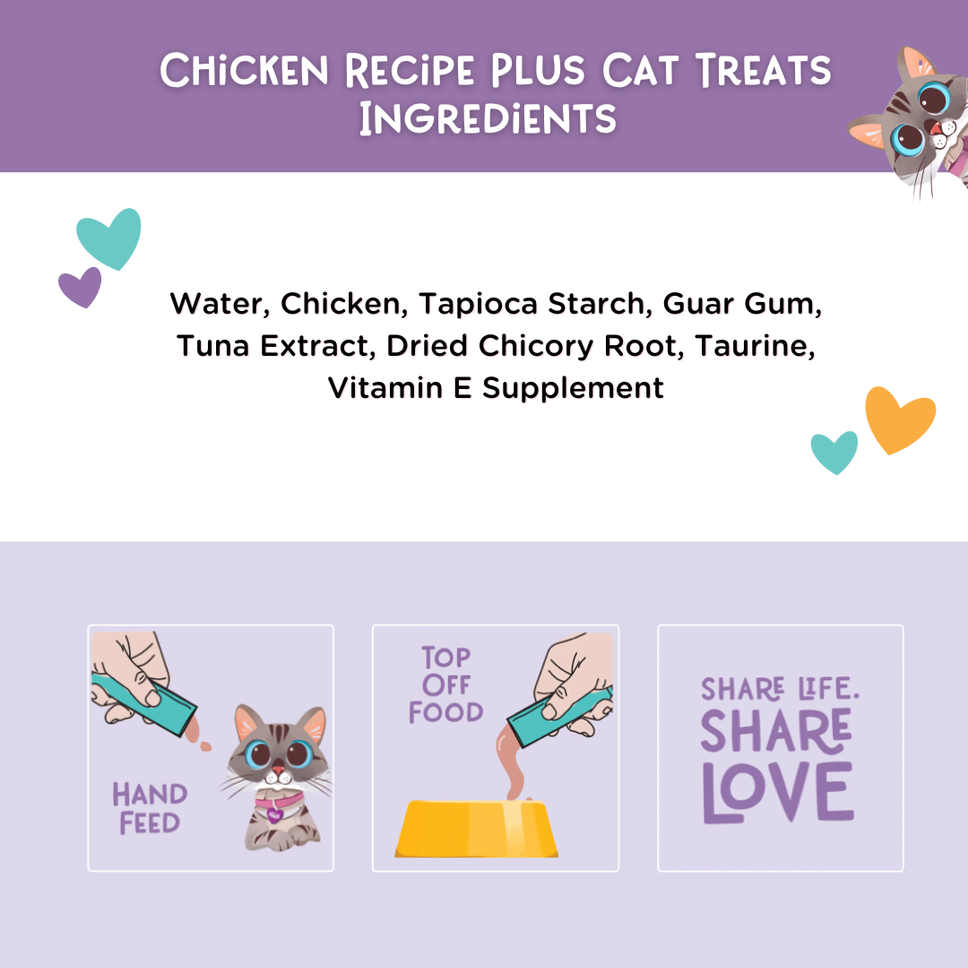 Chicken Recipe Plus Cat Treats, Pack of 4