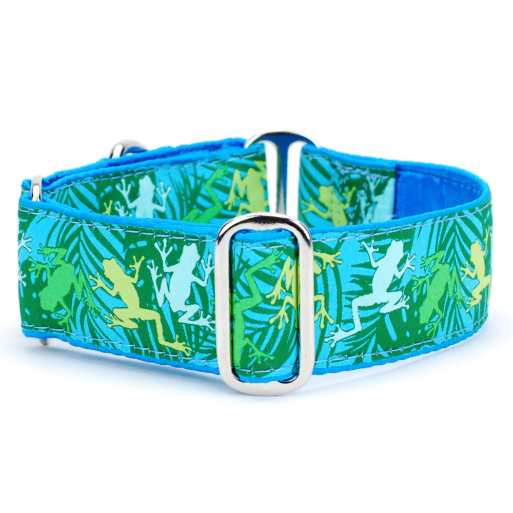 Coqui Surf – Exclusive Martingale Dog Collar