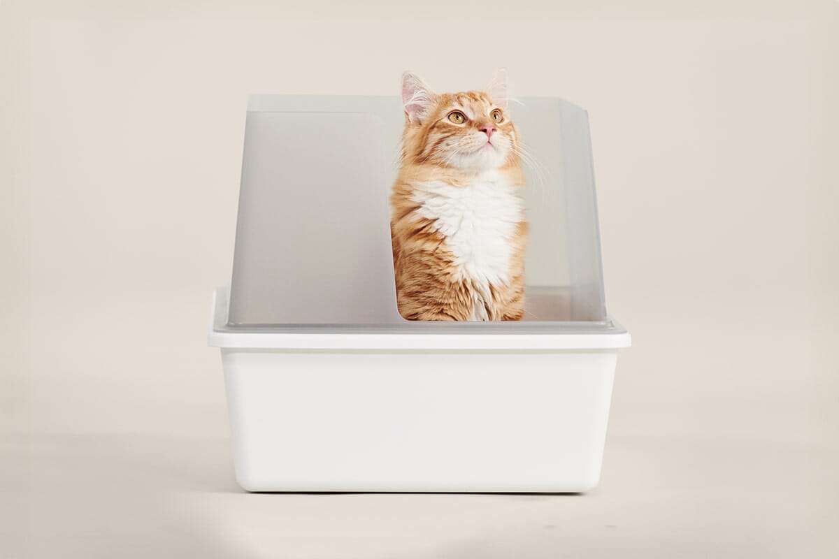 Cubby Litter Box