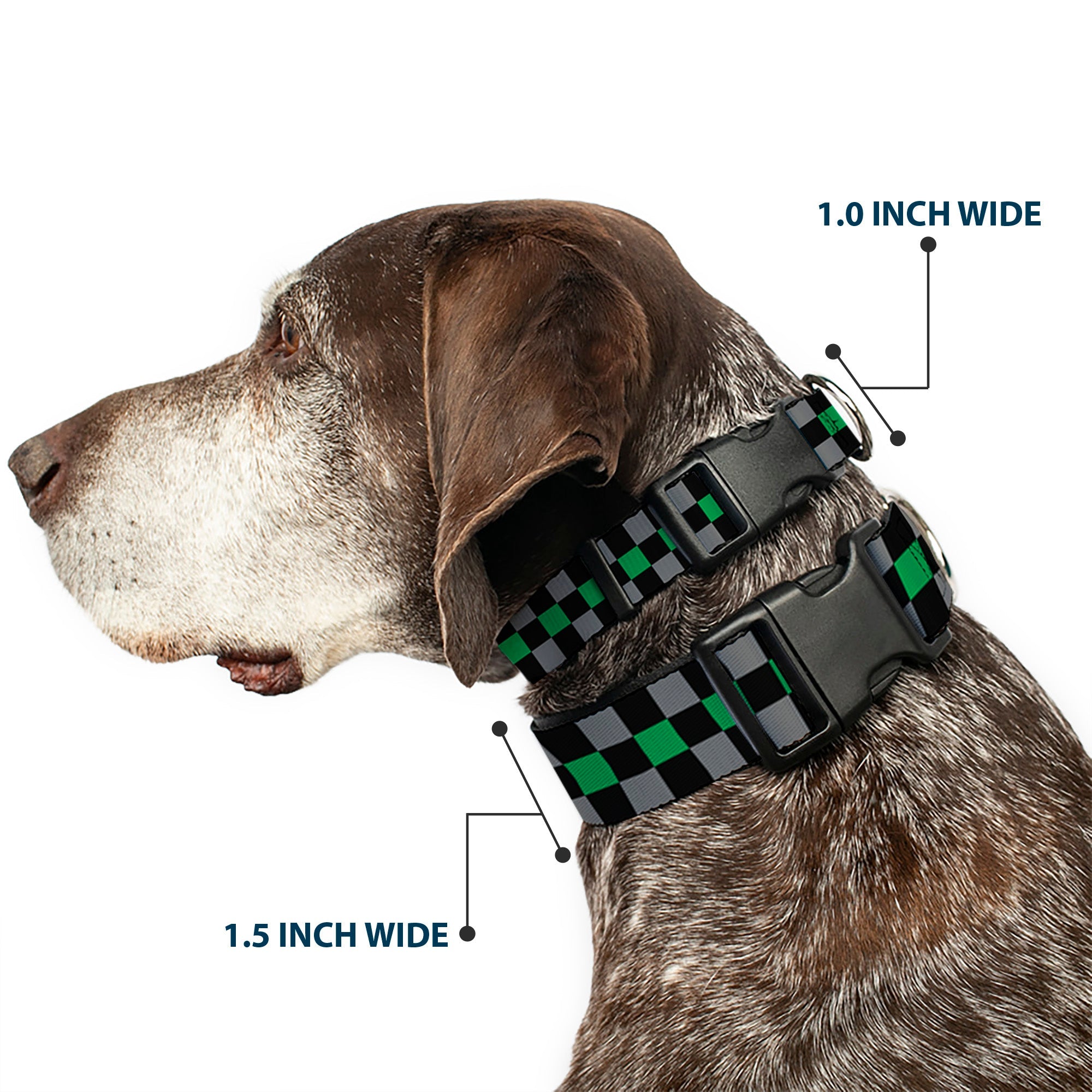 Plastic Clip Collar - Checker Black/Gray/1 Green