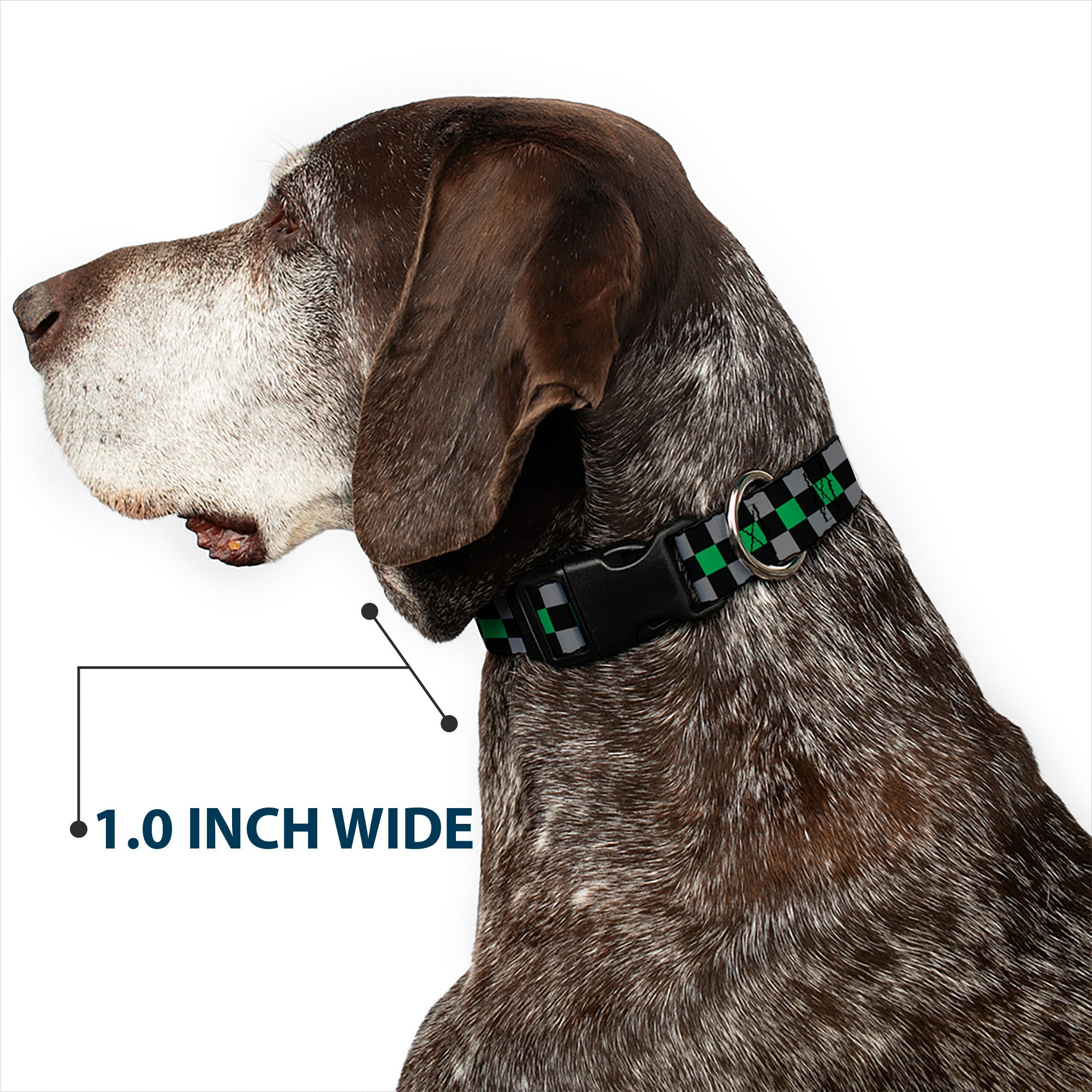 Plastic Clip Collar - Checker Black/Gray/1 Green