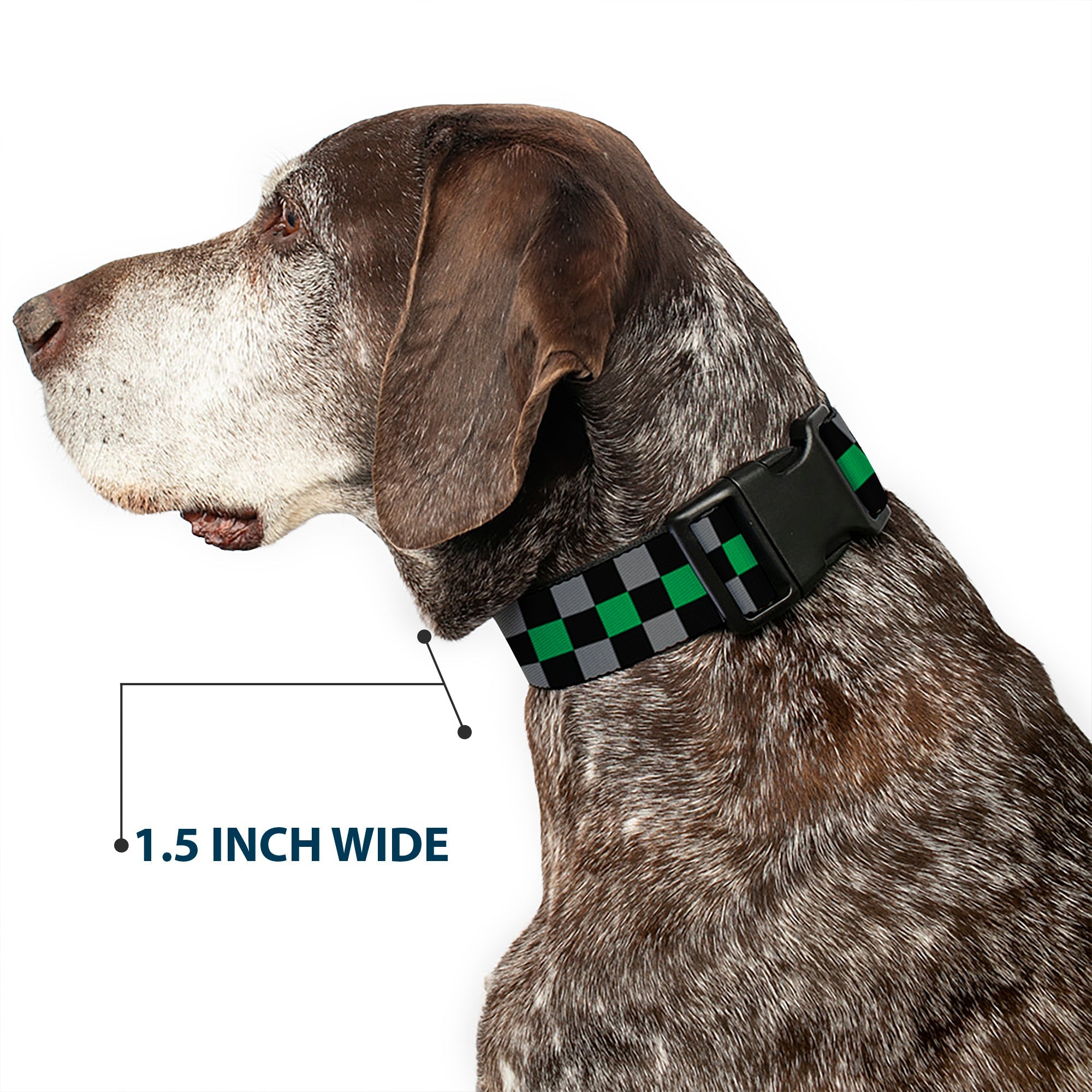 Plastic Clip Collar - Checker Black/Gray/1 Green