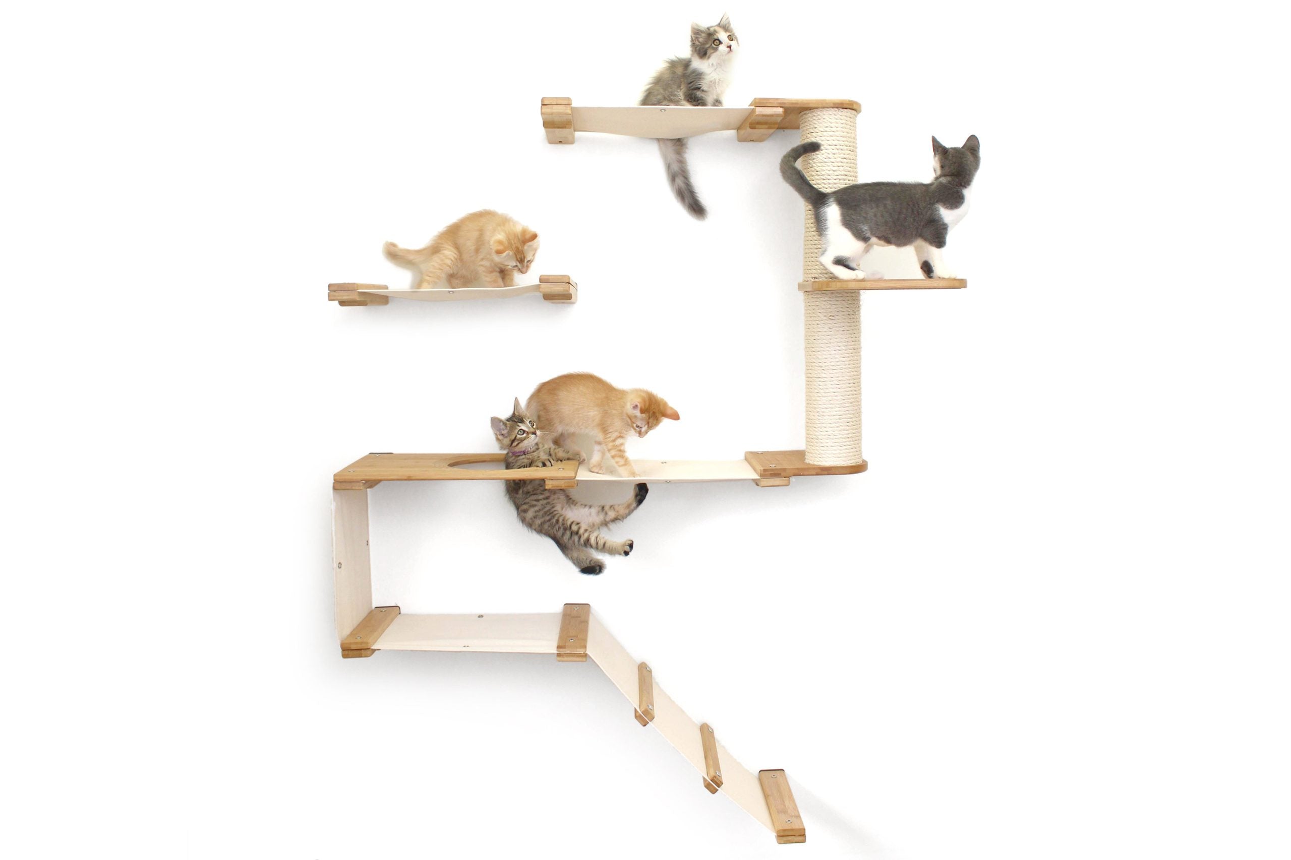 The Deluxe Fort - Modern Cat Condo (Wall Hanging Cat Tree) - by Catastrophic Creations