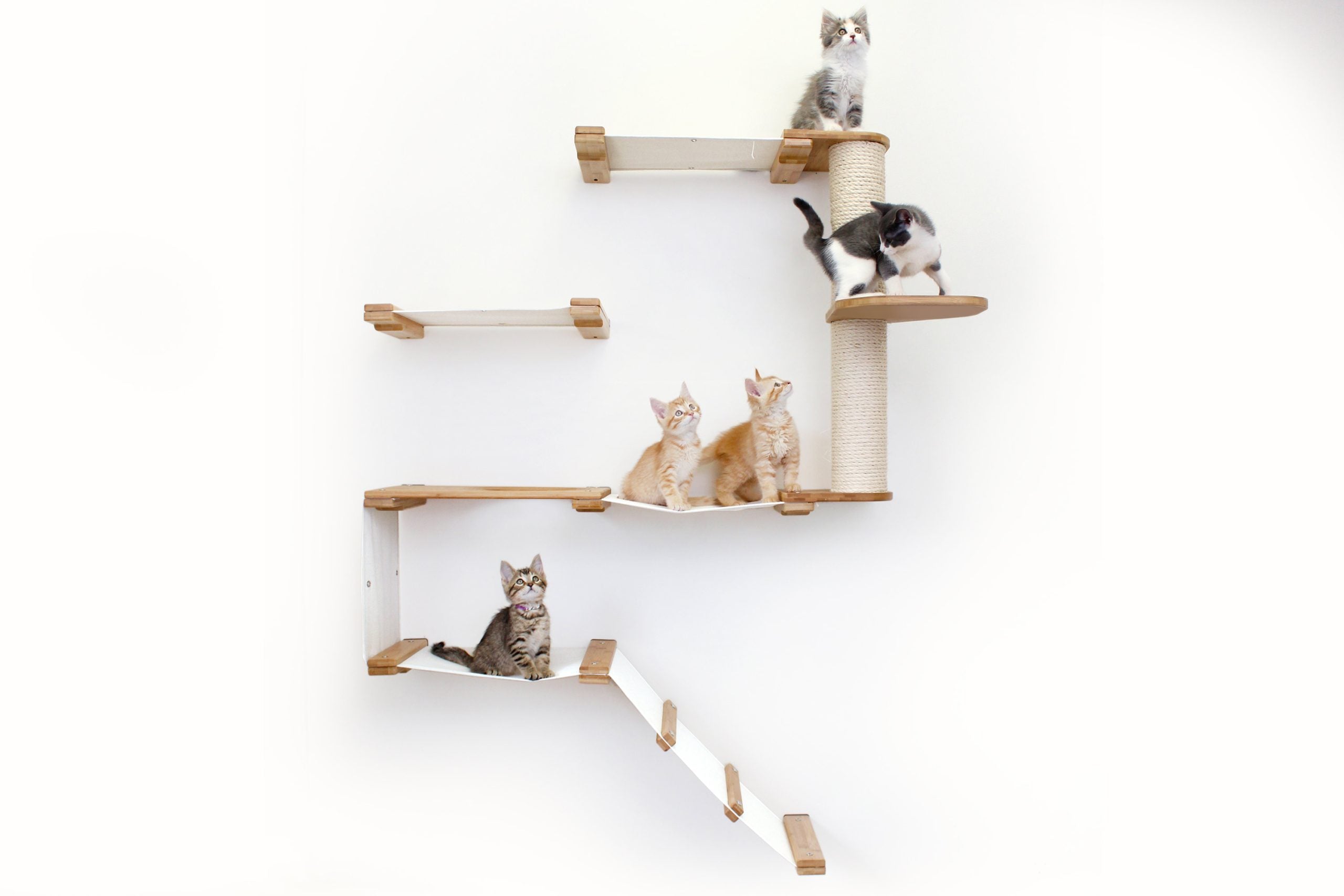 The Deluxe Fort - Modern Cat Condo (Wall Hanging Cat Tree) - by Catastrophic Creations