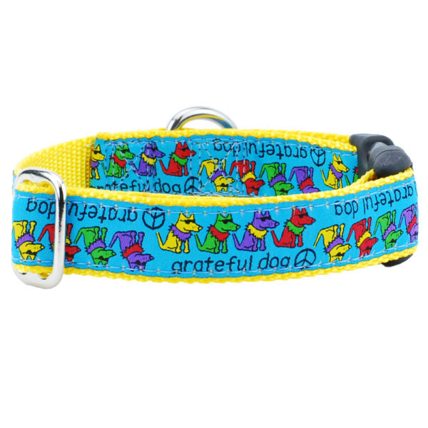 1″ Grateful Dog Teddy The Dog Essential Dog Collar