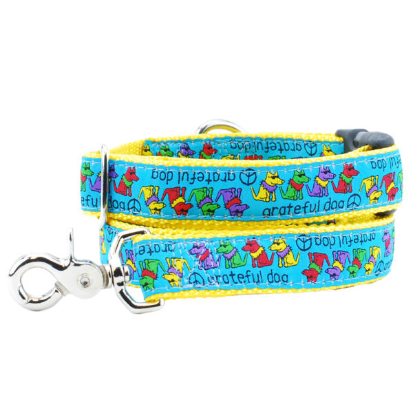 1″ Grateful Dog Teddy The Dog Essential Buckle Martingale Dog Collar